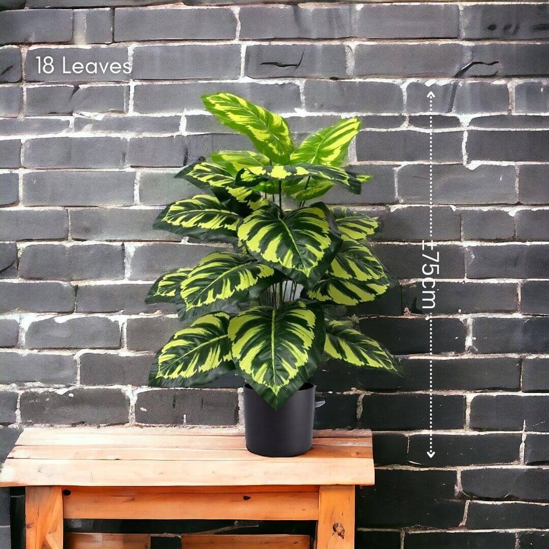 75cm Artificial Calathea Peacock Plant | Potted Faux Zebra Striped Bush