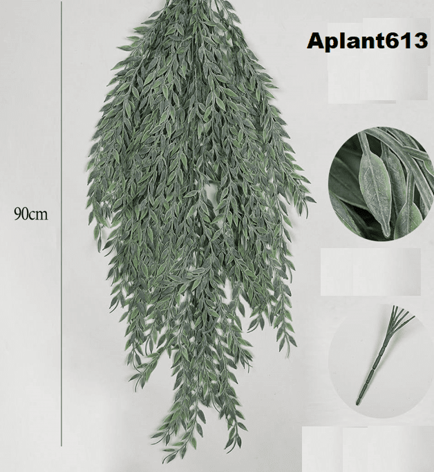 Aplant613 1