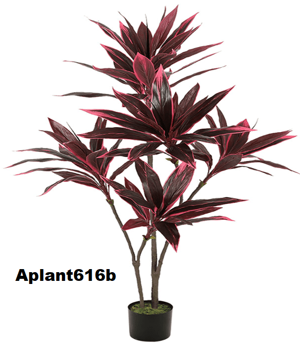 Aplant616b