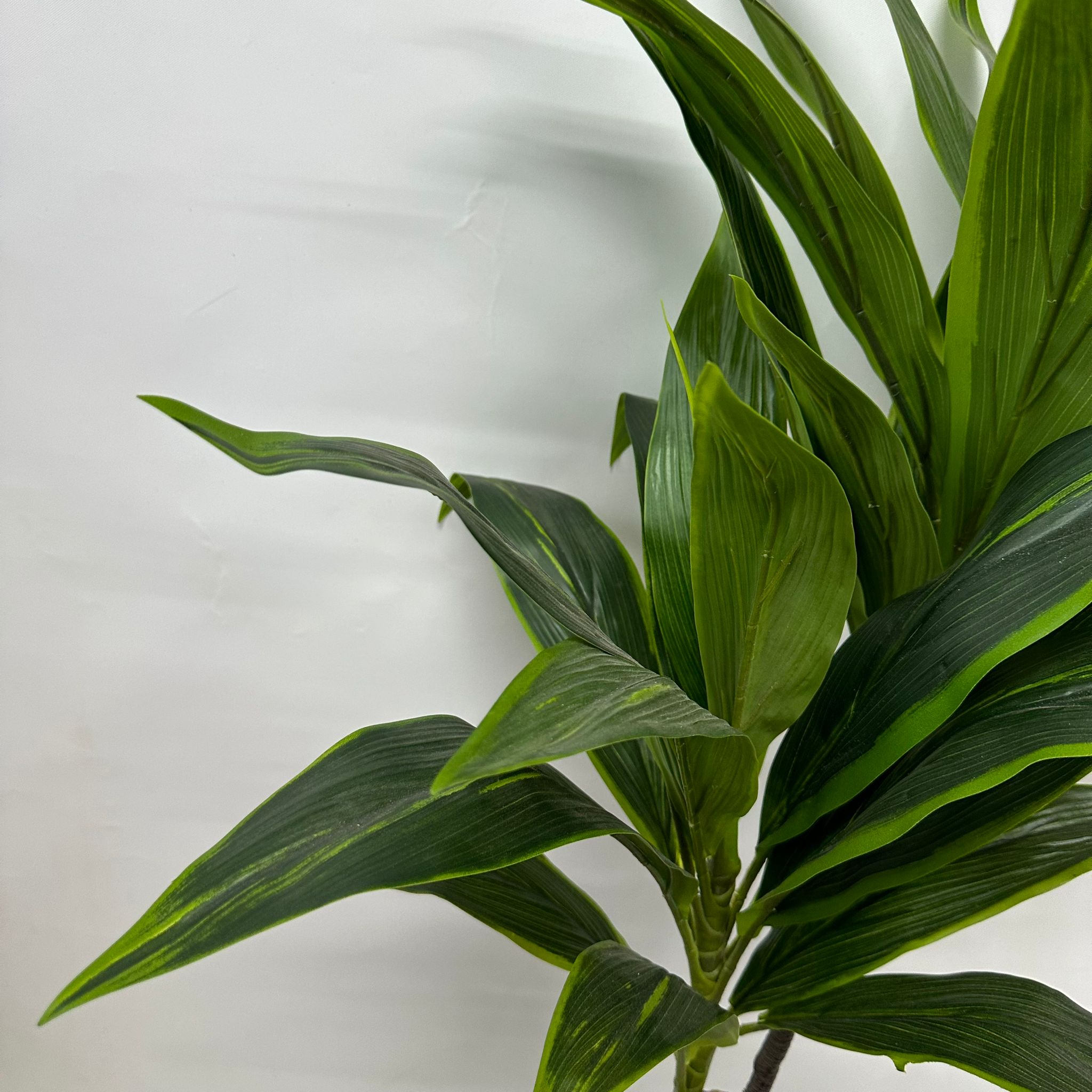 120cm Artificial Plant Cordyline (Snow White) Plant x2, home decor, office. Aplant616x2-120cm