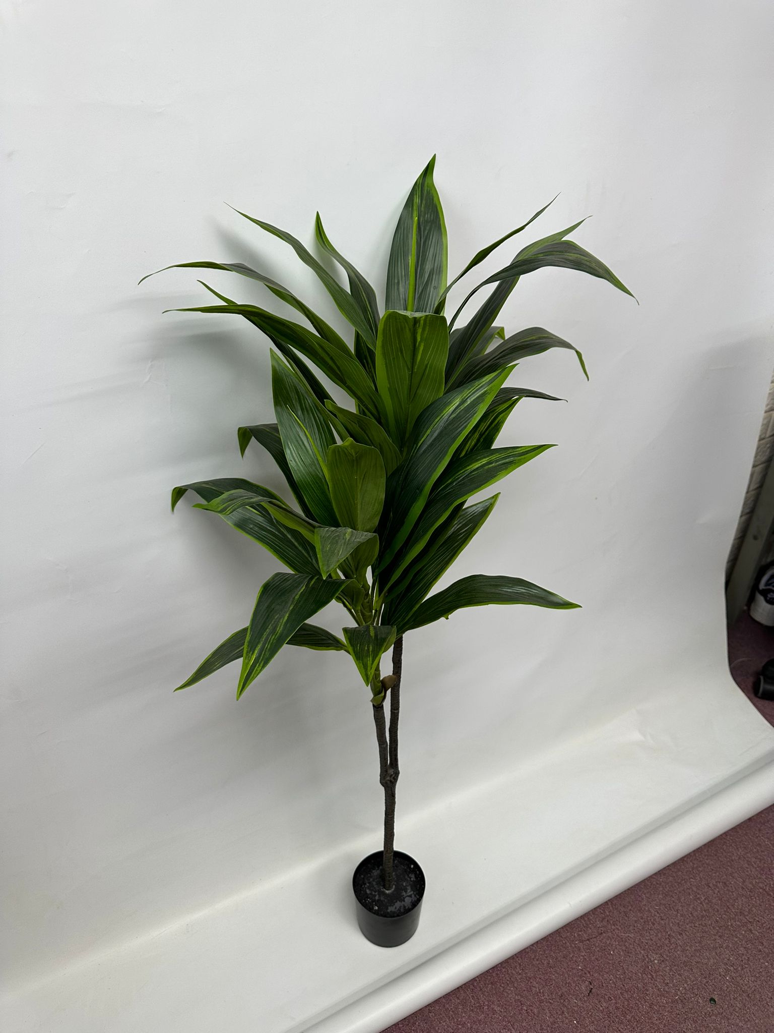 120cm Artificial Plant Cordyline (Snow White) Plant x2, home decor, office. Aplant616x2-120cm