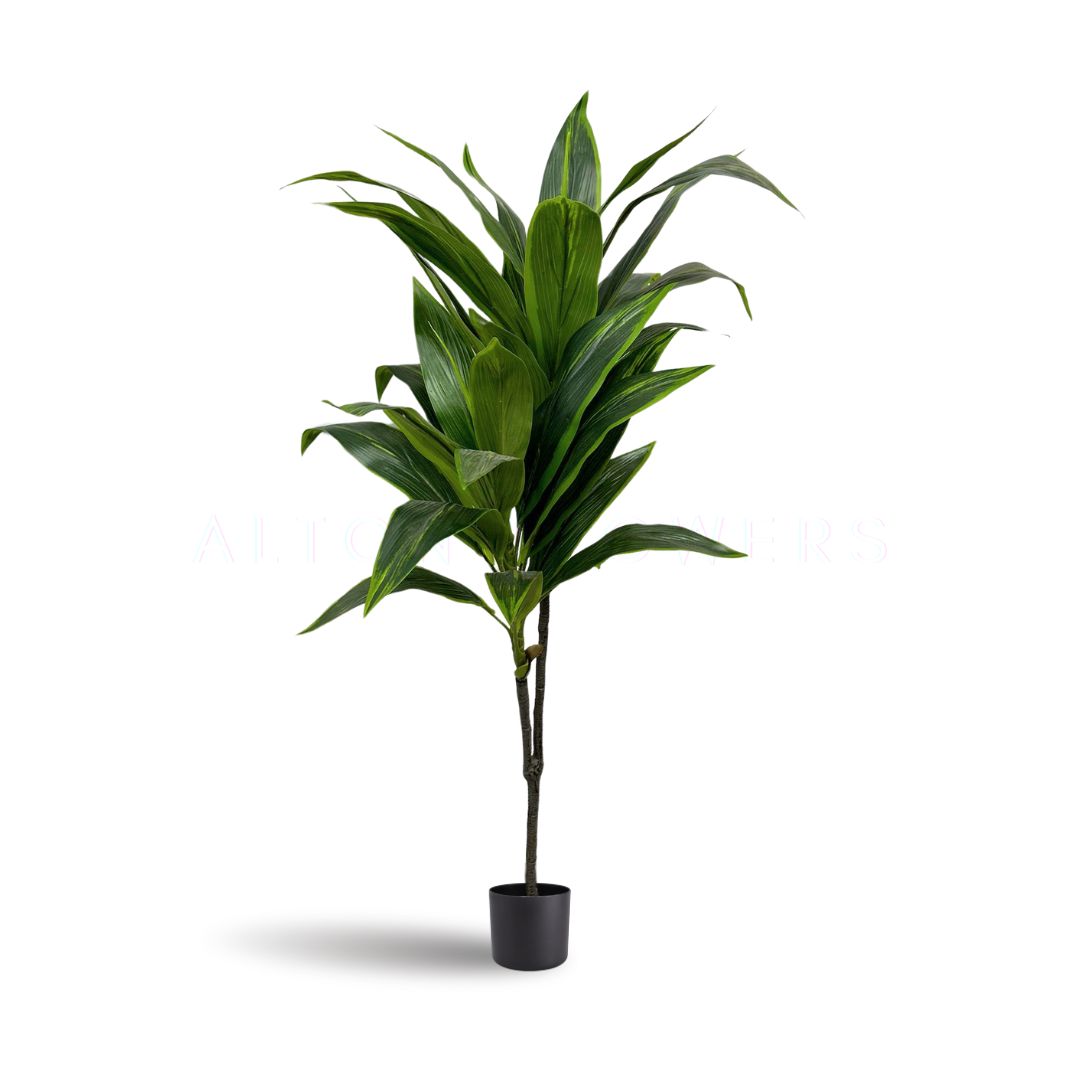 120cm Artificial Plant Cordyline (Snow White) Plant x2, home decor, office. Aplant616x2-120cm