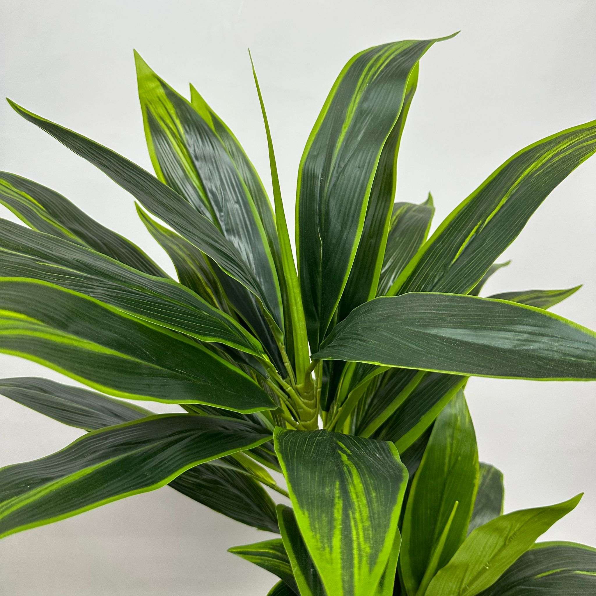 140cm Artificial Plant Cordyline (Snow White) Plant x2, home decor, office Aplant616x2-140cm