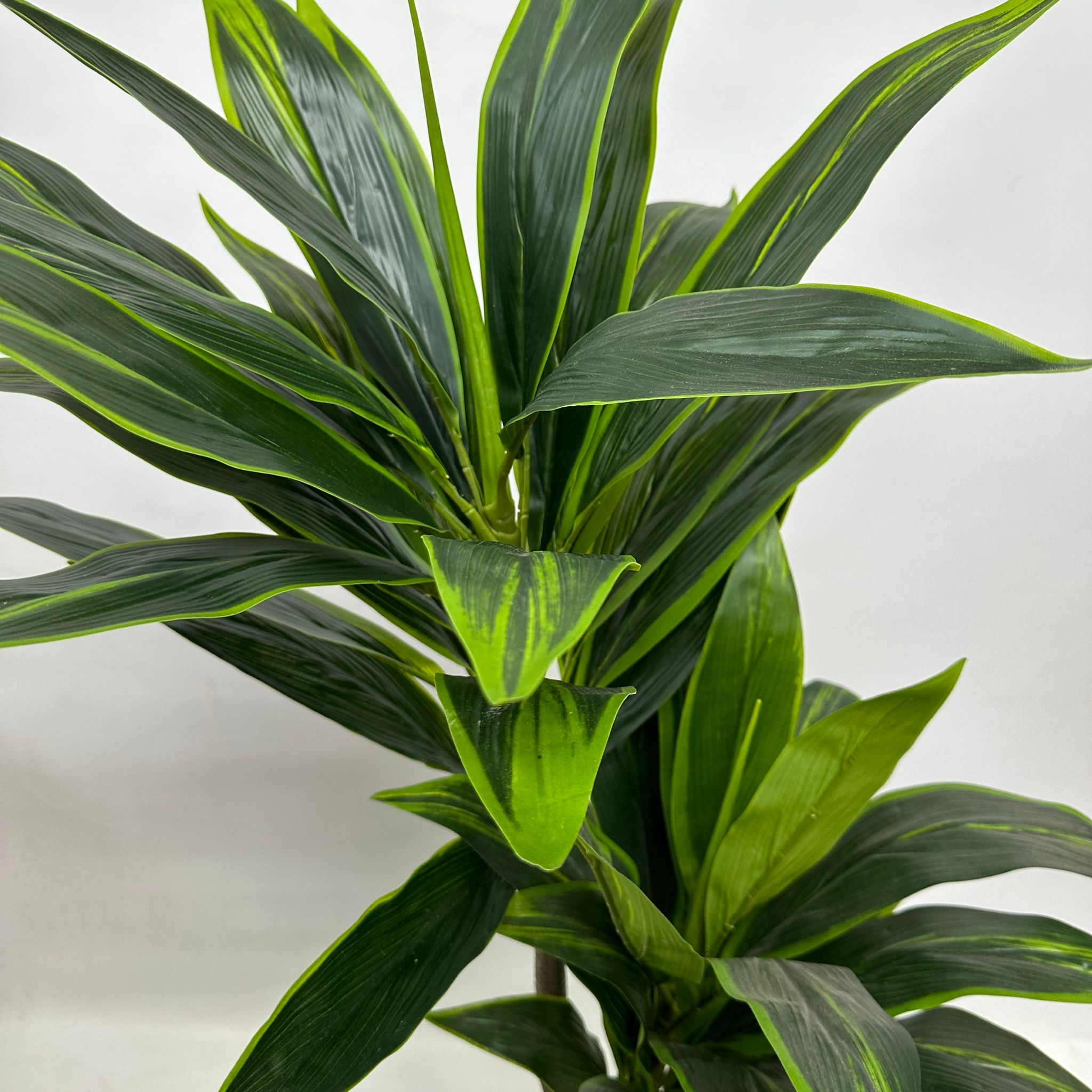 140cm Artificial Plant Cordyline (Snow White) Plant x2, home decor, office Aplant616x2-140cm