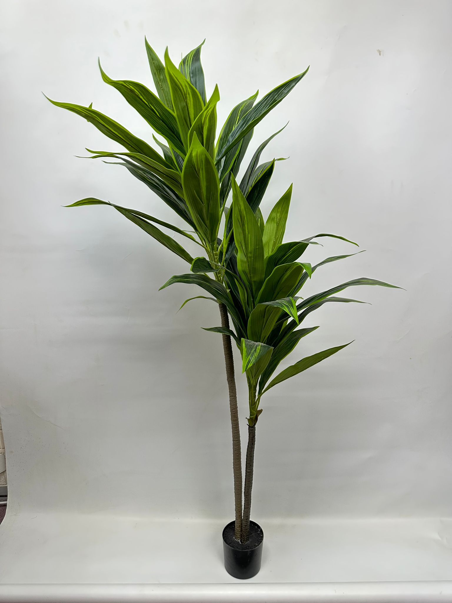 140cm Artificial Plant Cordyline (Snow White) Plant x2, home decor, office Aplant616x2-140cm
