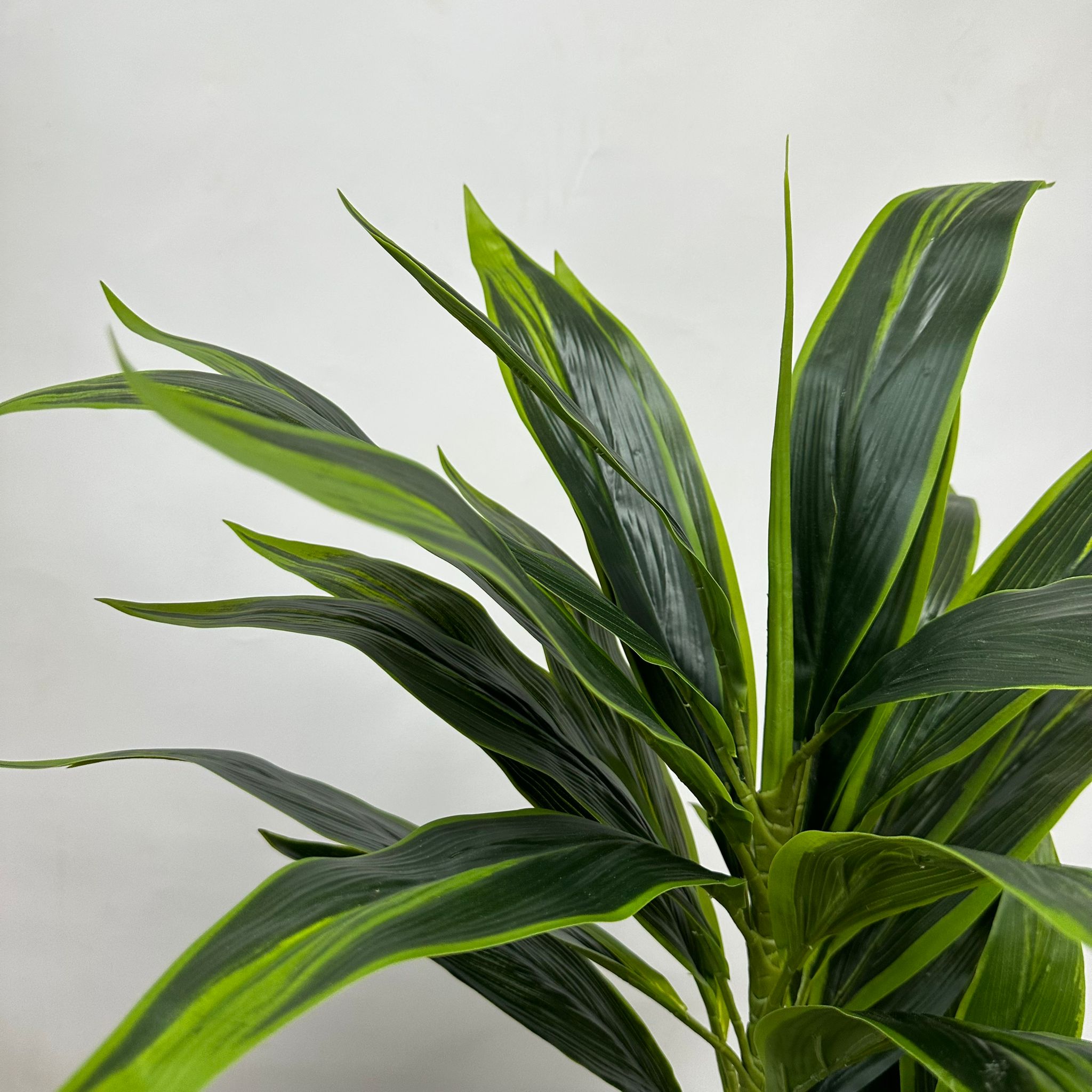 140cm Artificial Plant Cordyline (Snow White) Plant x2, home decor, office Aplant616x2-140cm