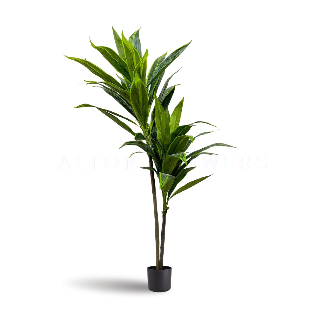 140cm Artificial Plant Cordyline (Snow White) Plant x2, home decor, office Aplant616x2-140cm