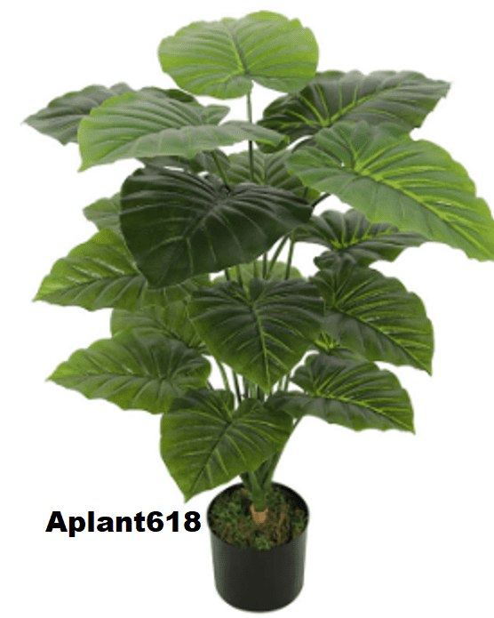 Aplant618