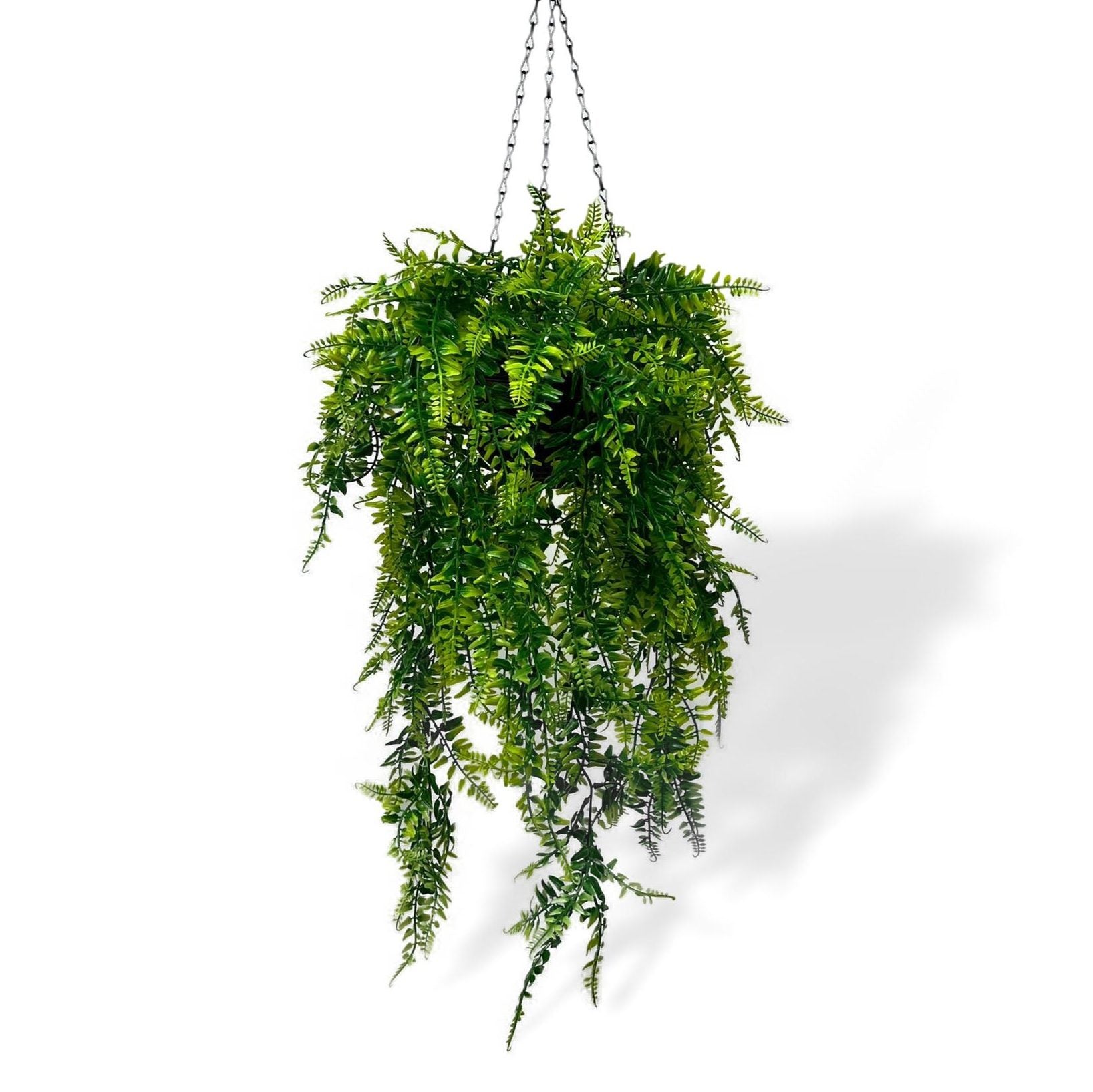 Aplant621 clipped rev 1 Copy 1