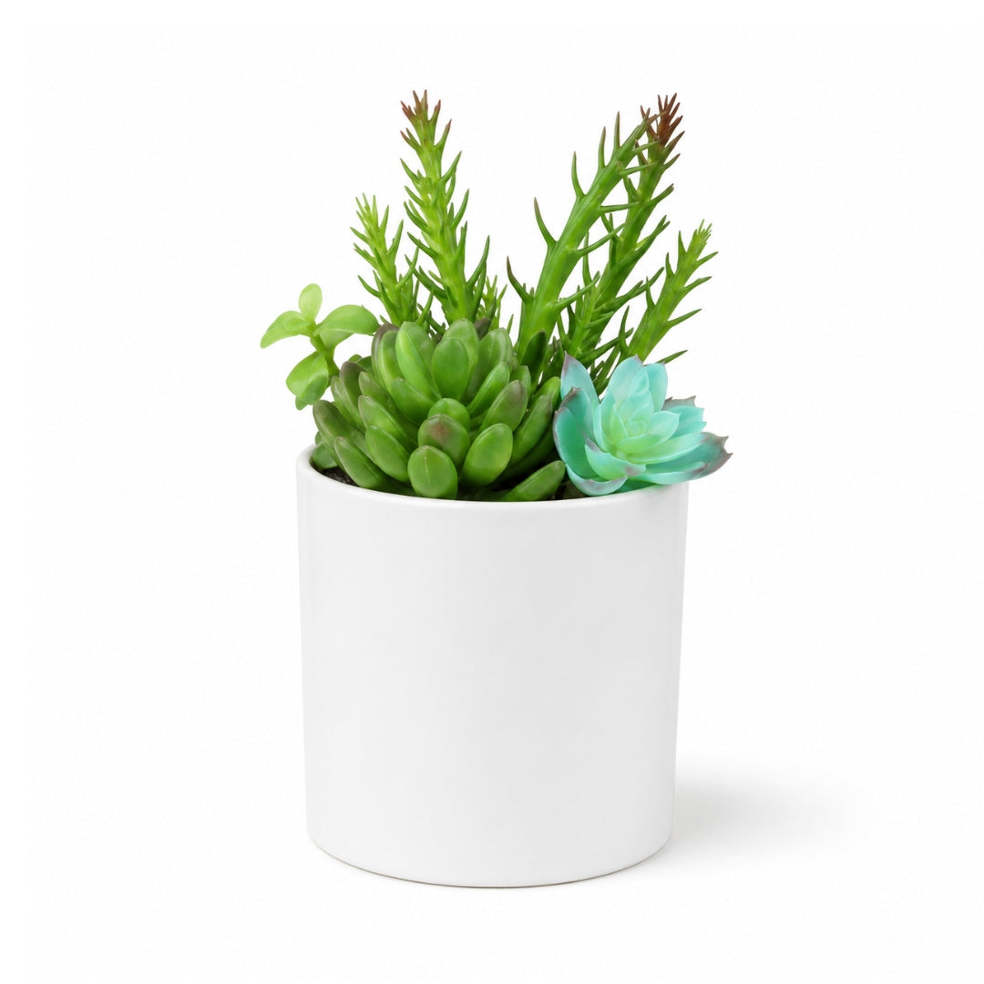 Mini artificial mixed succulent plant in white pot with faux sedum, aloe and echeveria-style foliage for desk and home décor