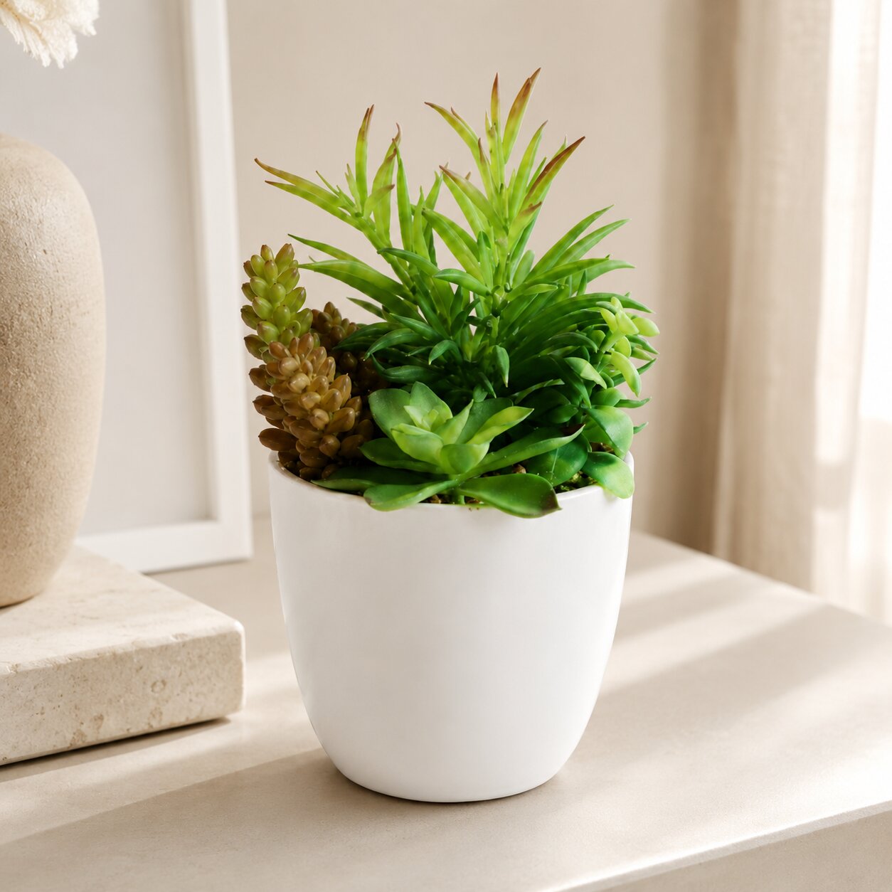 Alton Flowers 20cm mixed succulent plant for indoor office or house decor, featuring various small, vibrant succulents in a compact arrangement.