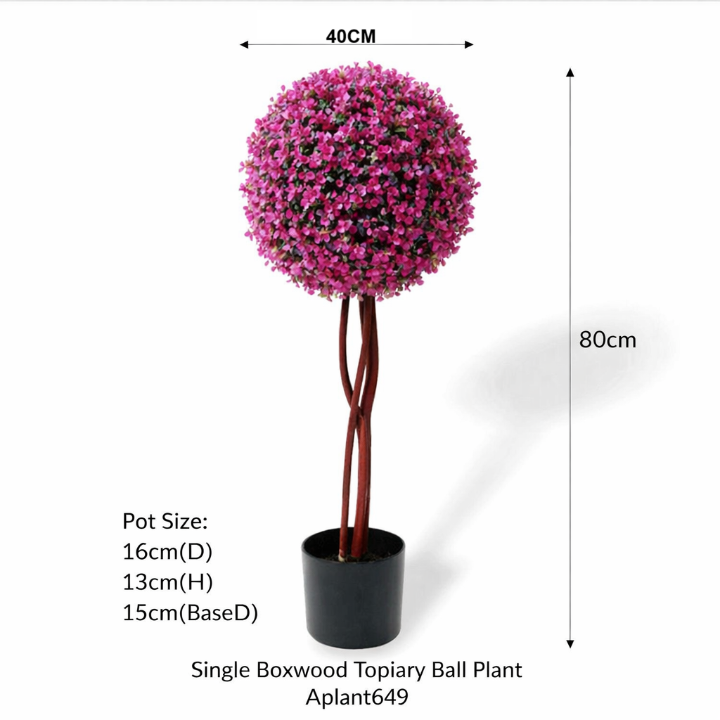 80cm Single Boxwood Topiary Ball Plant Aplant649-3