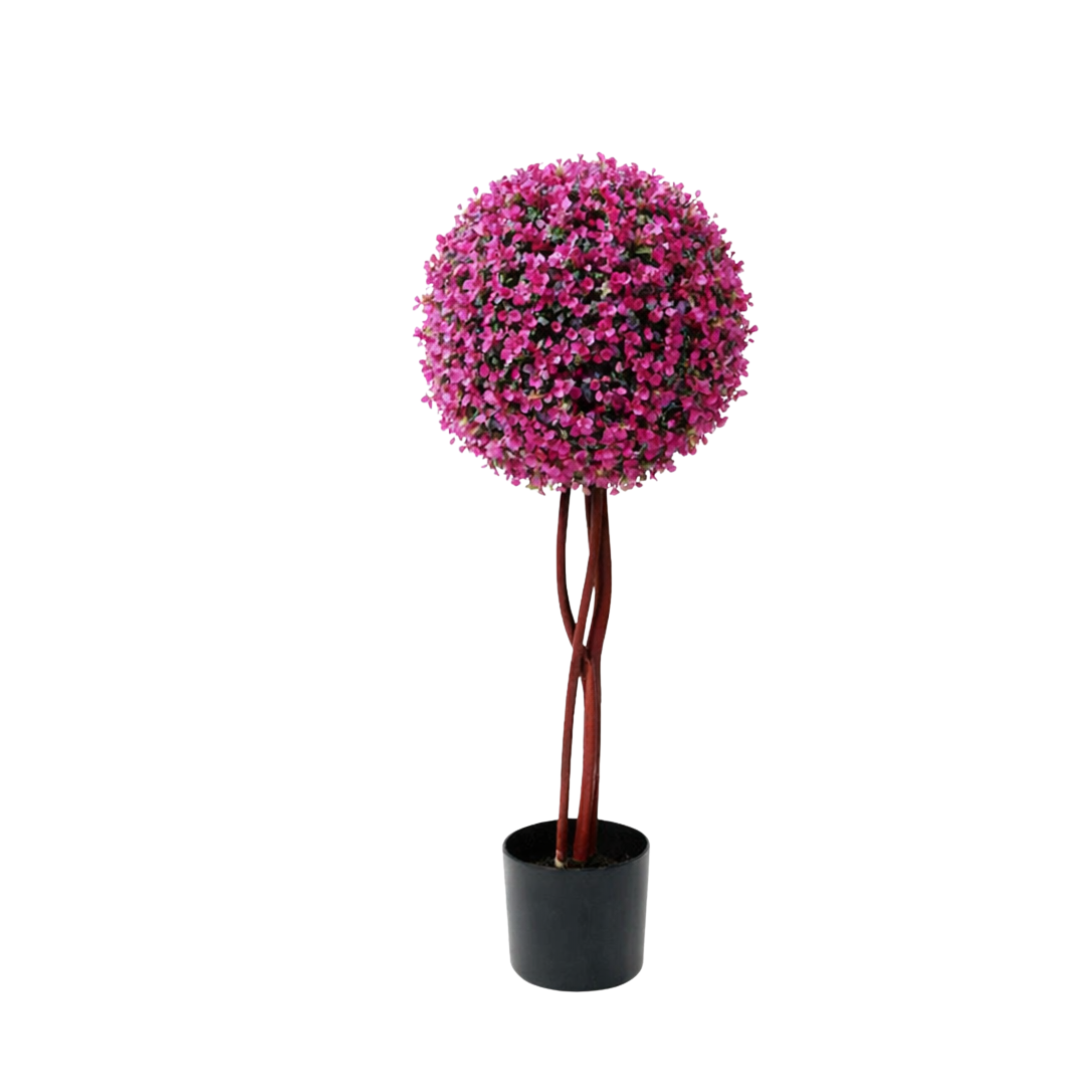 80cm Single Boxwood Topiary Ball Plant