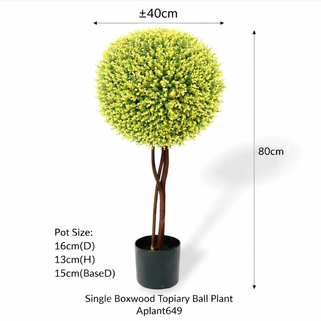 80cm Single Boxwood Topiary Ball Plant Aplant649-4