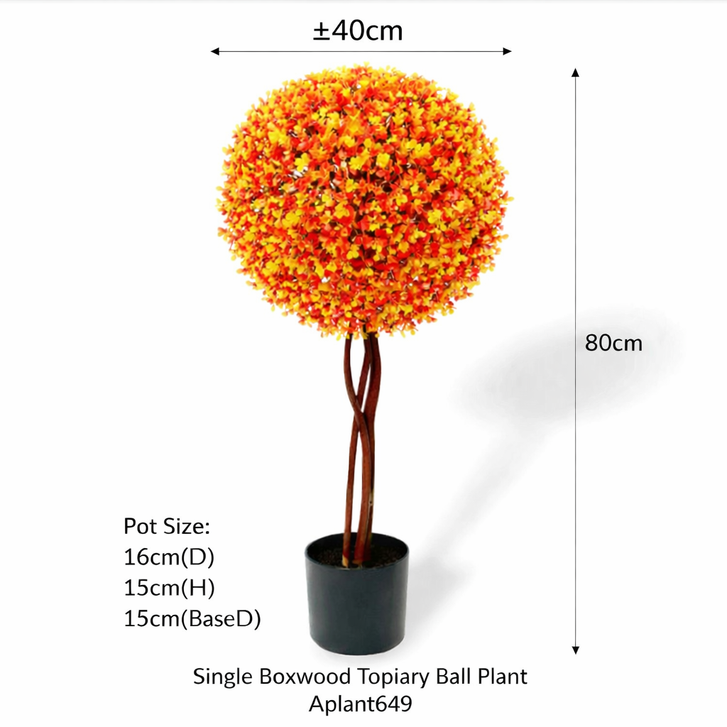80cm Single Boxwood Topiary Ball Plant Aplant649-5