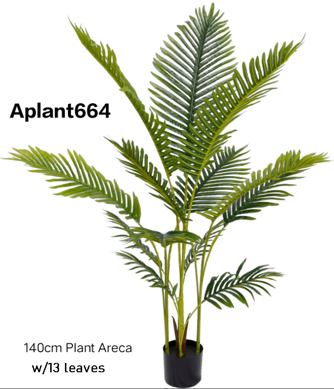 Aplant664 6