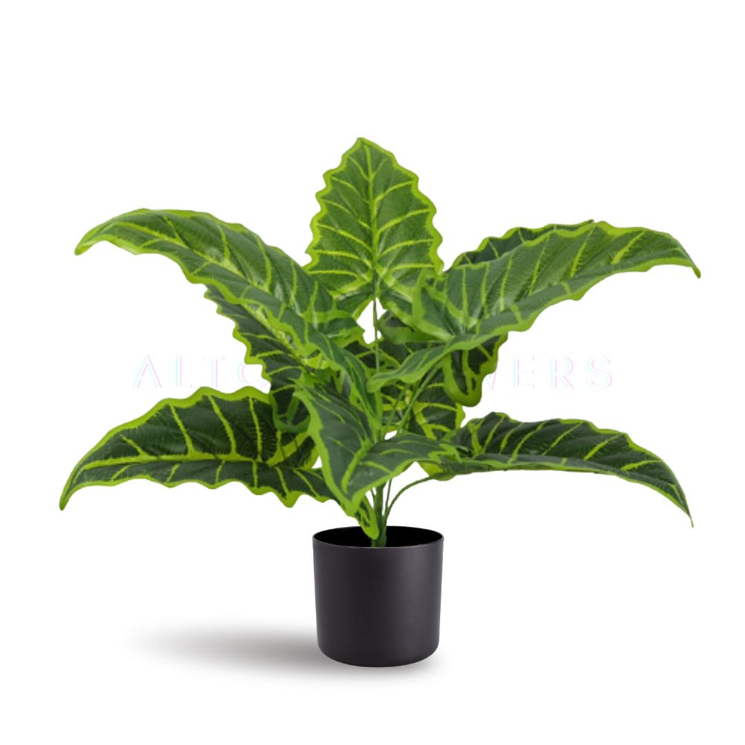 40cm Plant Alocasia Amazonica artificial with pot, home decor, indoor Aplant668
