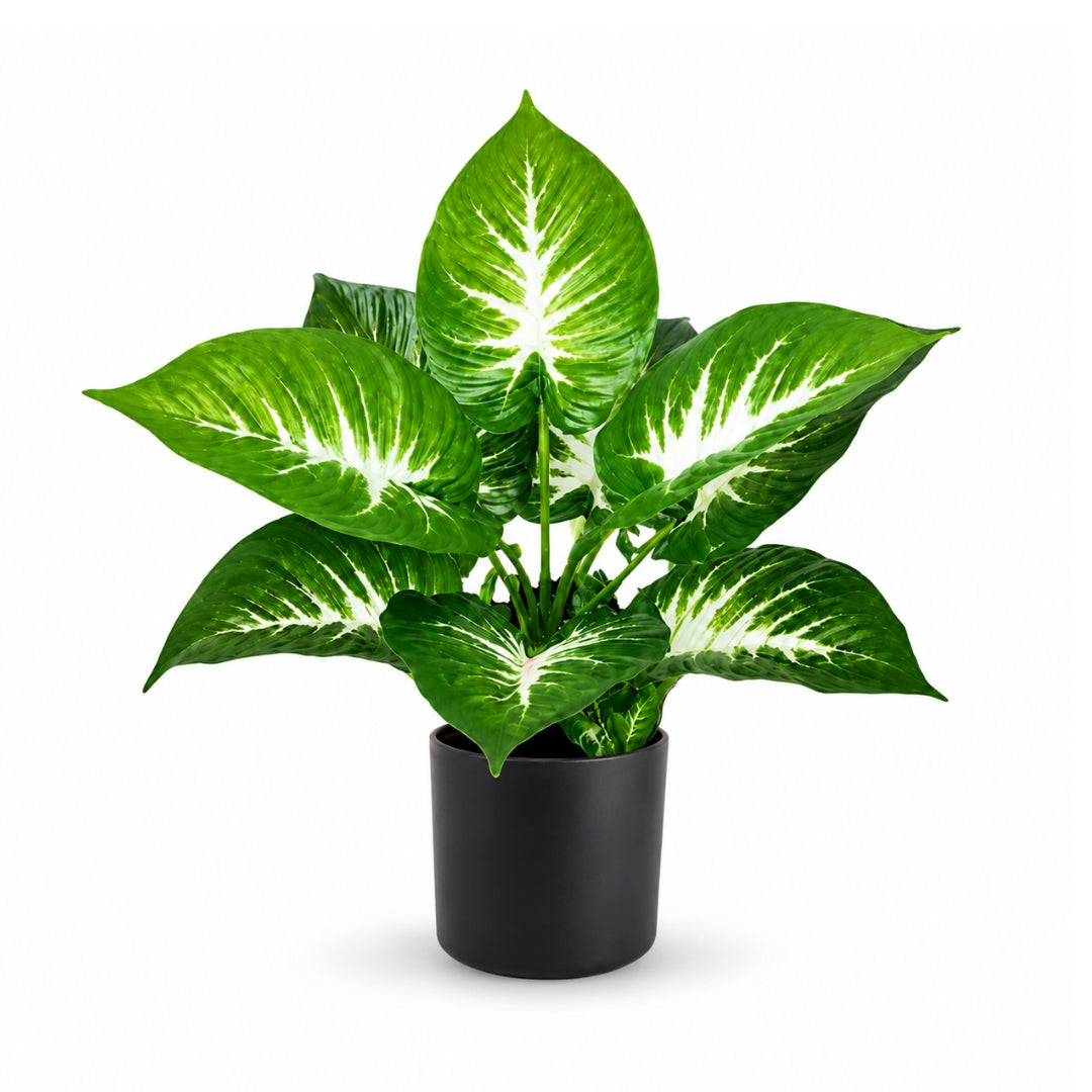 40cm Plant Philodendron Zebra artificial with pot, home decor, indoor, garden Aplant670