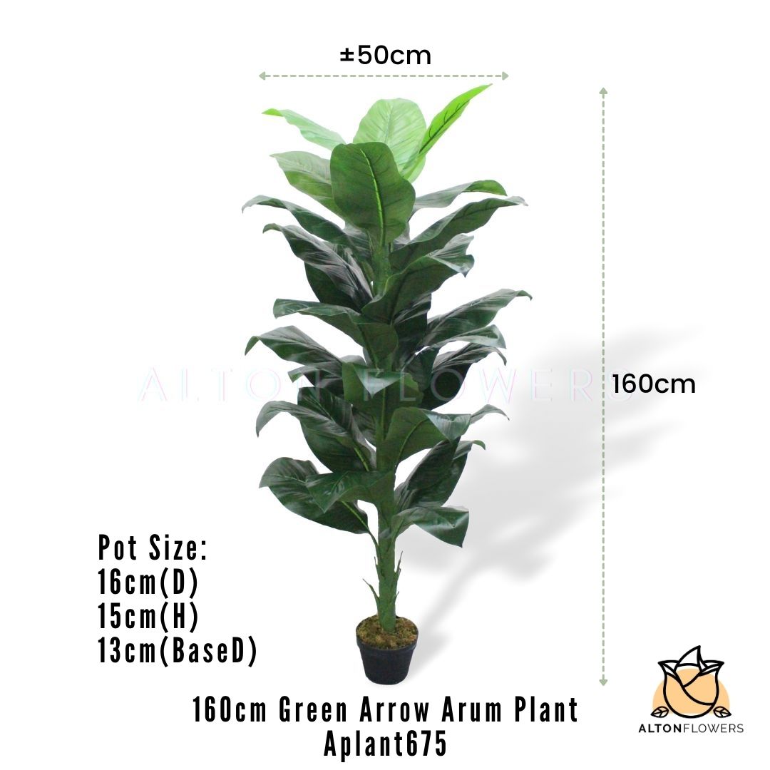 Aplant675 mea