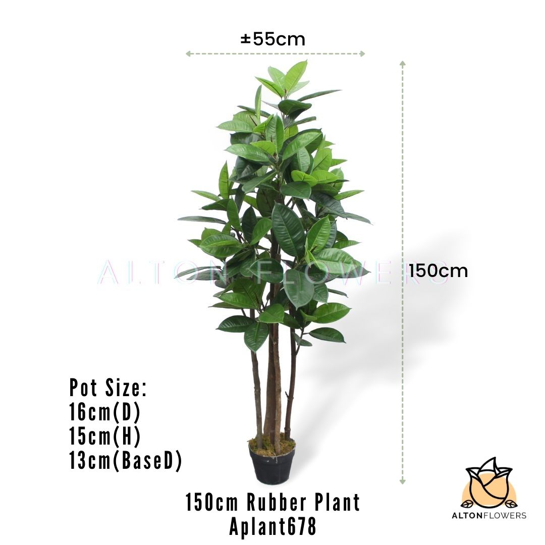 Aplant678 mea