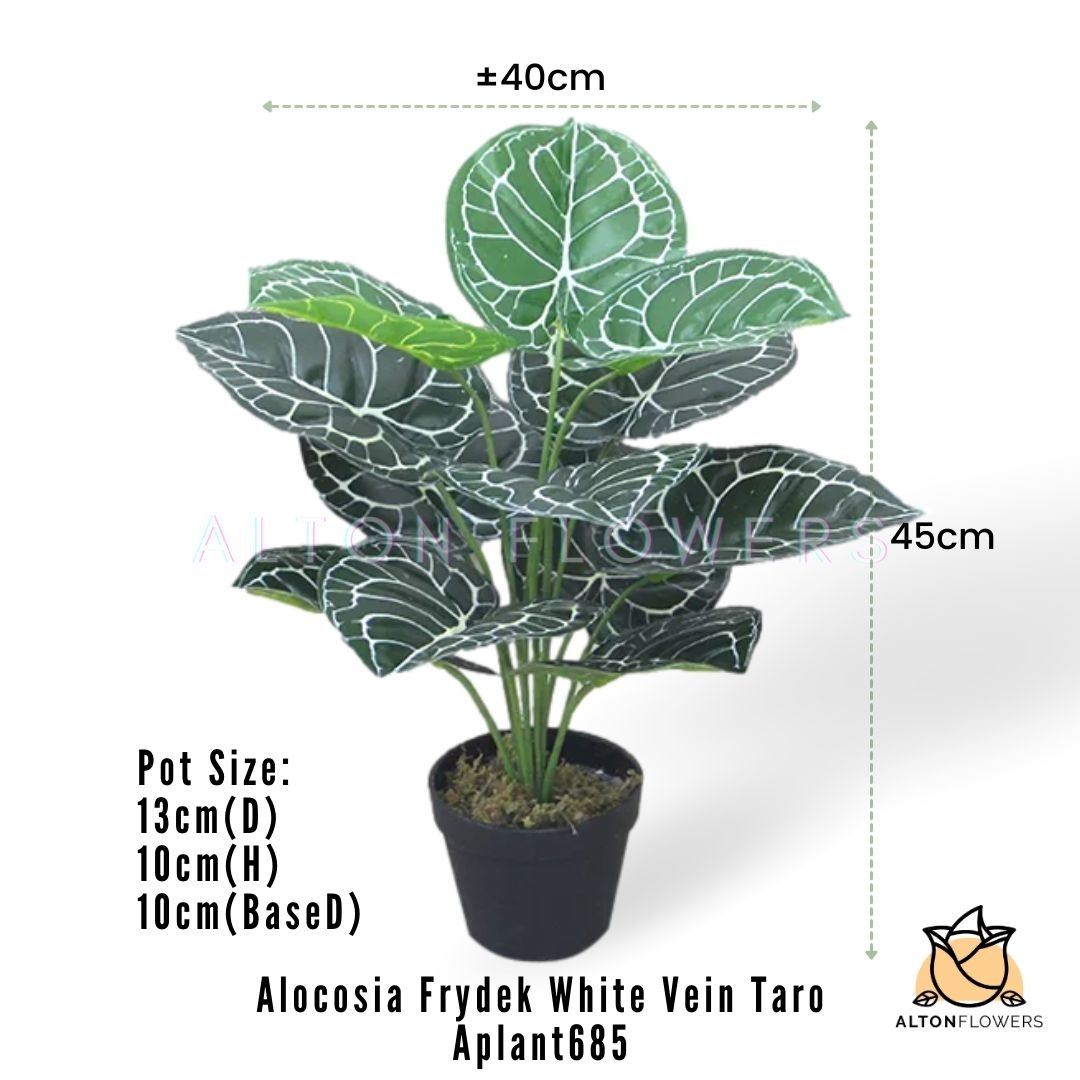 Aplant685 mea