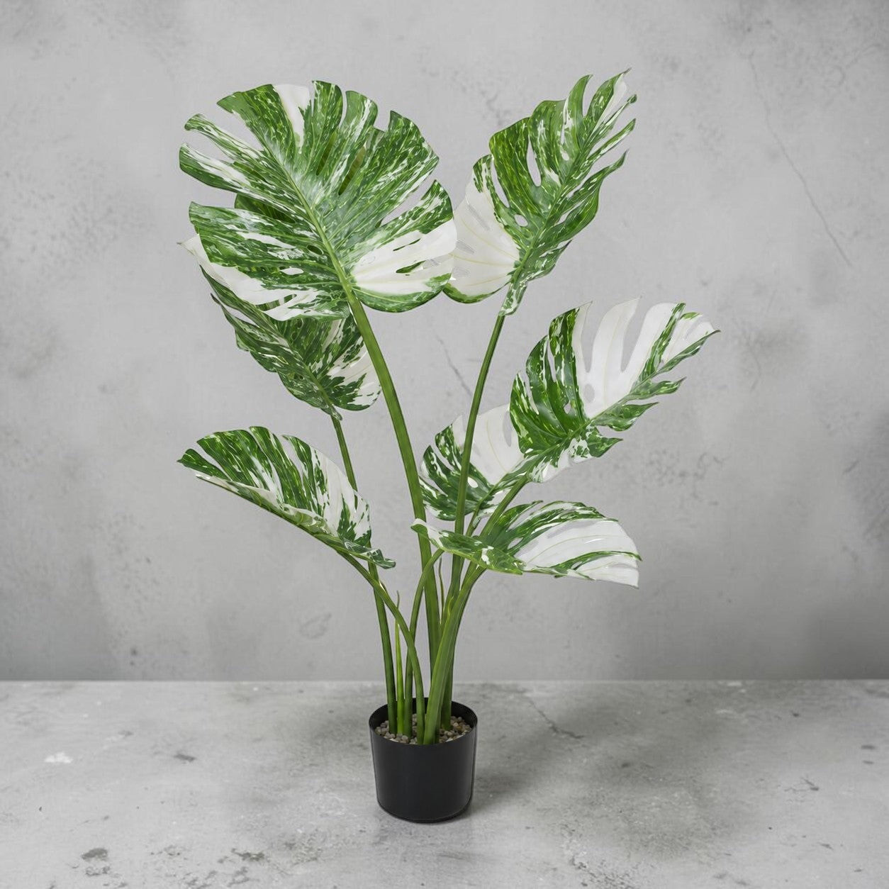 Artificial Albo Monstera plant, 90cm tall, from Alton Flowers, perfect for home decor, garden, or events.