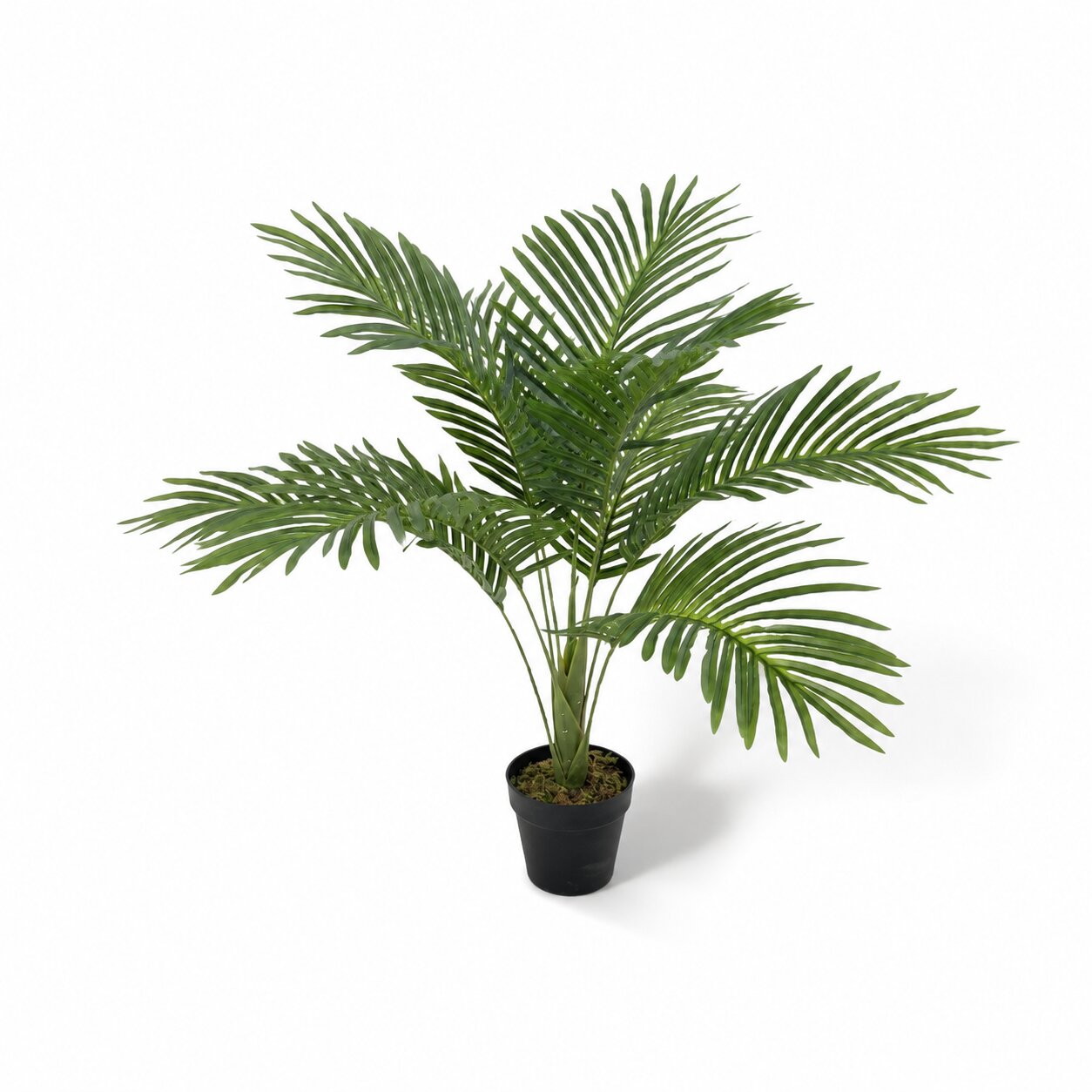 75cm artificial sago palm plant featuring rigid dark green cycas revoluta fronds arching outward from a black pot by Alton Flowers Singapore