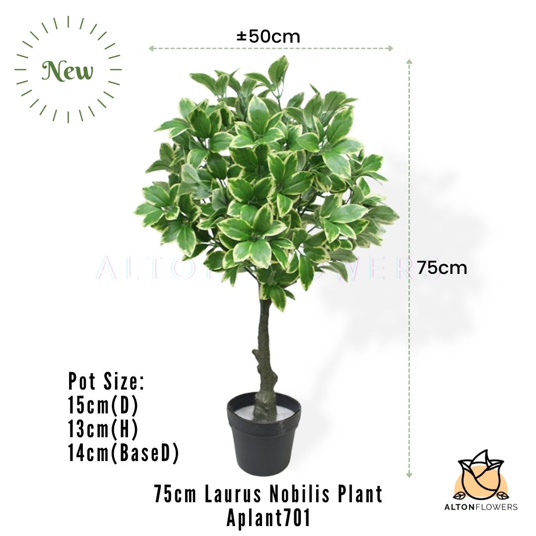Aplant701 mea