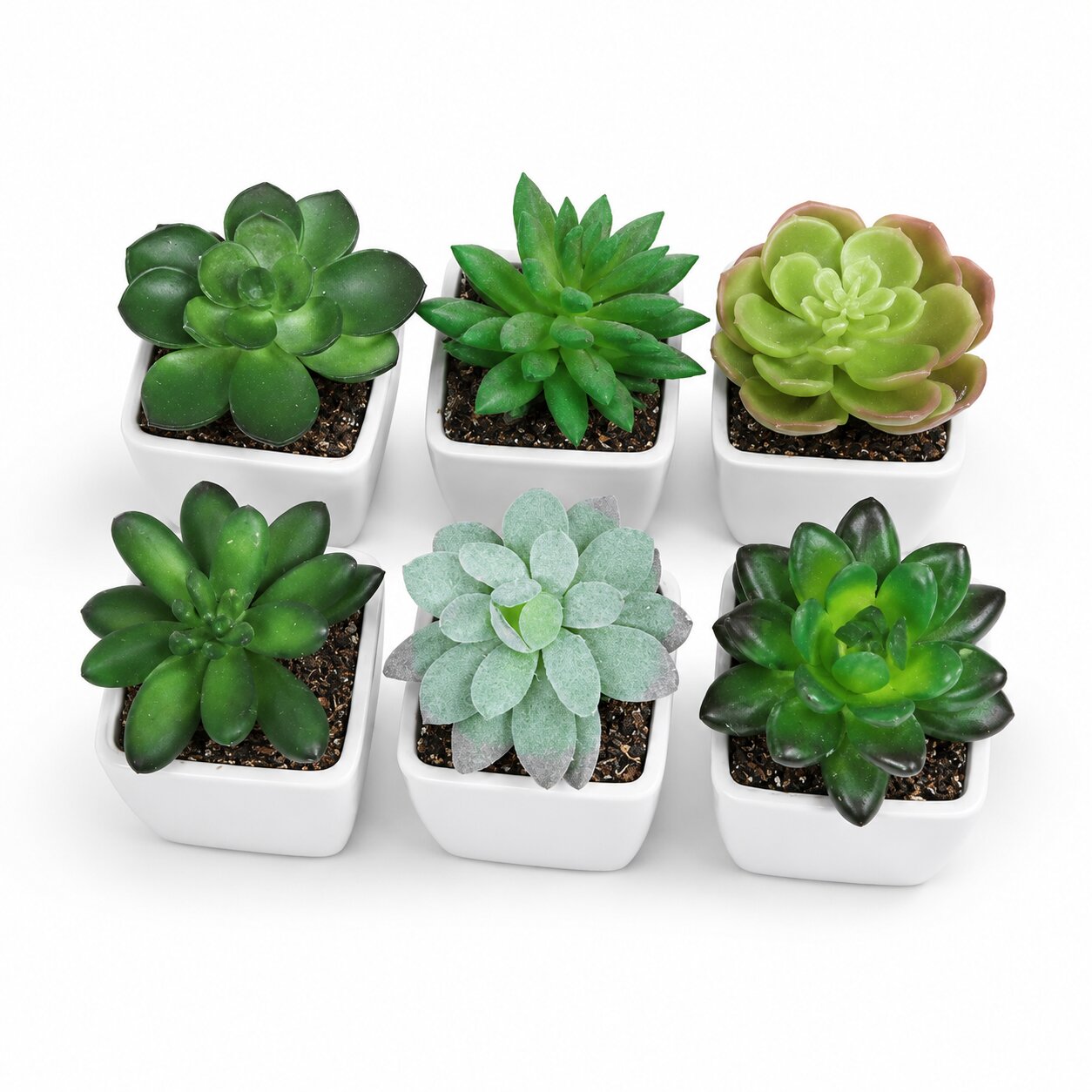 Set of 6 artificial succulent mini plants in ceramic pots, perfect for home or office decor by Alton Flowers.