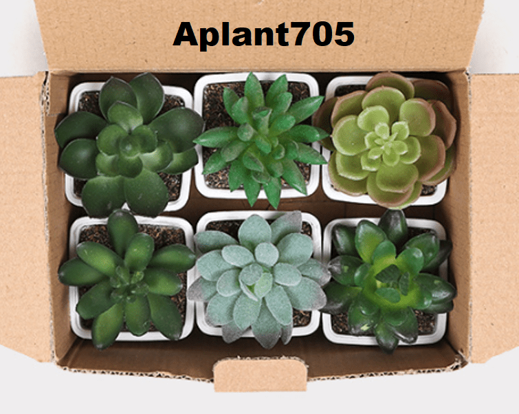 Aplant705