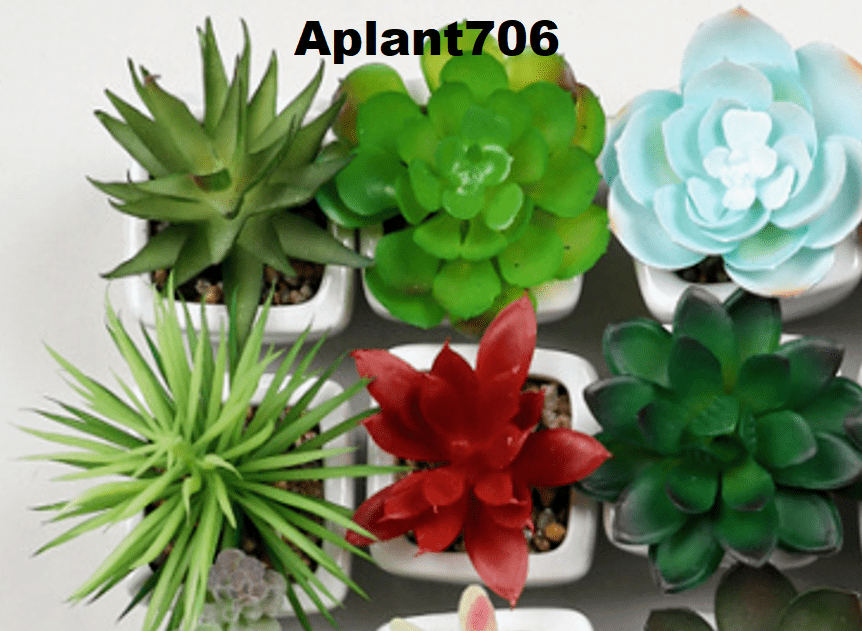 Aplant706