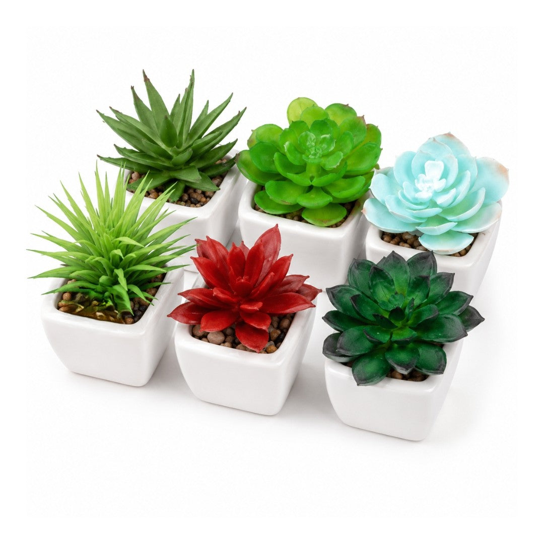 Set of 6 artificial succulents in ceramic pots by Alton Flowers, ideal for home, office, or garden decor.