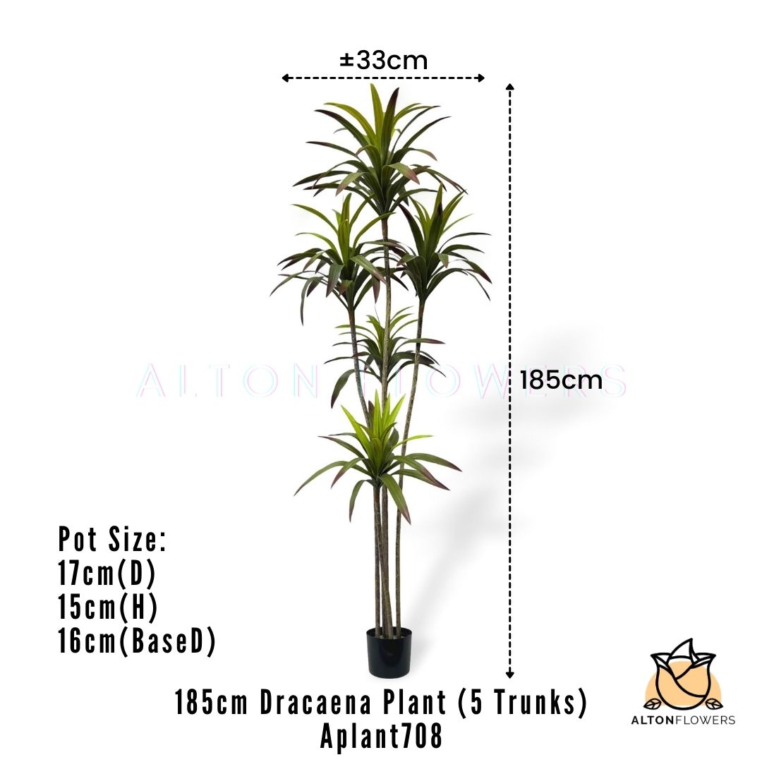 Aplant708 mea