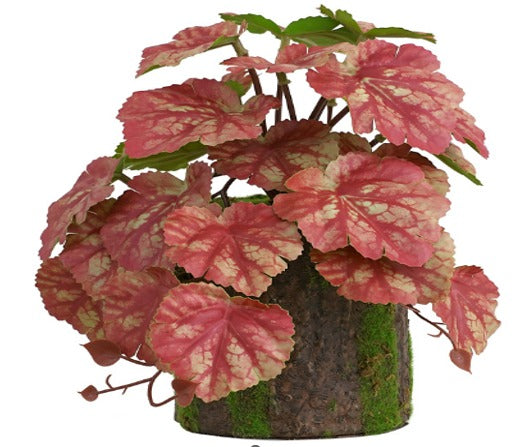 Artificial 22cm plant with pot by Alton Flowers, suitable for home decor, garden, or event display.