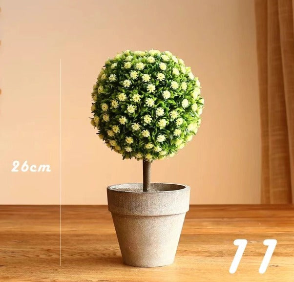 12cm potted Cordyceps sinensis plant by Alton Flowers in a decorative pot, showcasing vibrant green foliage and natural growth.