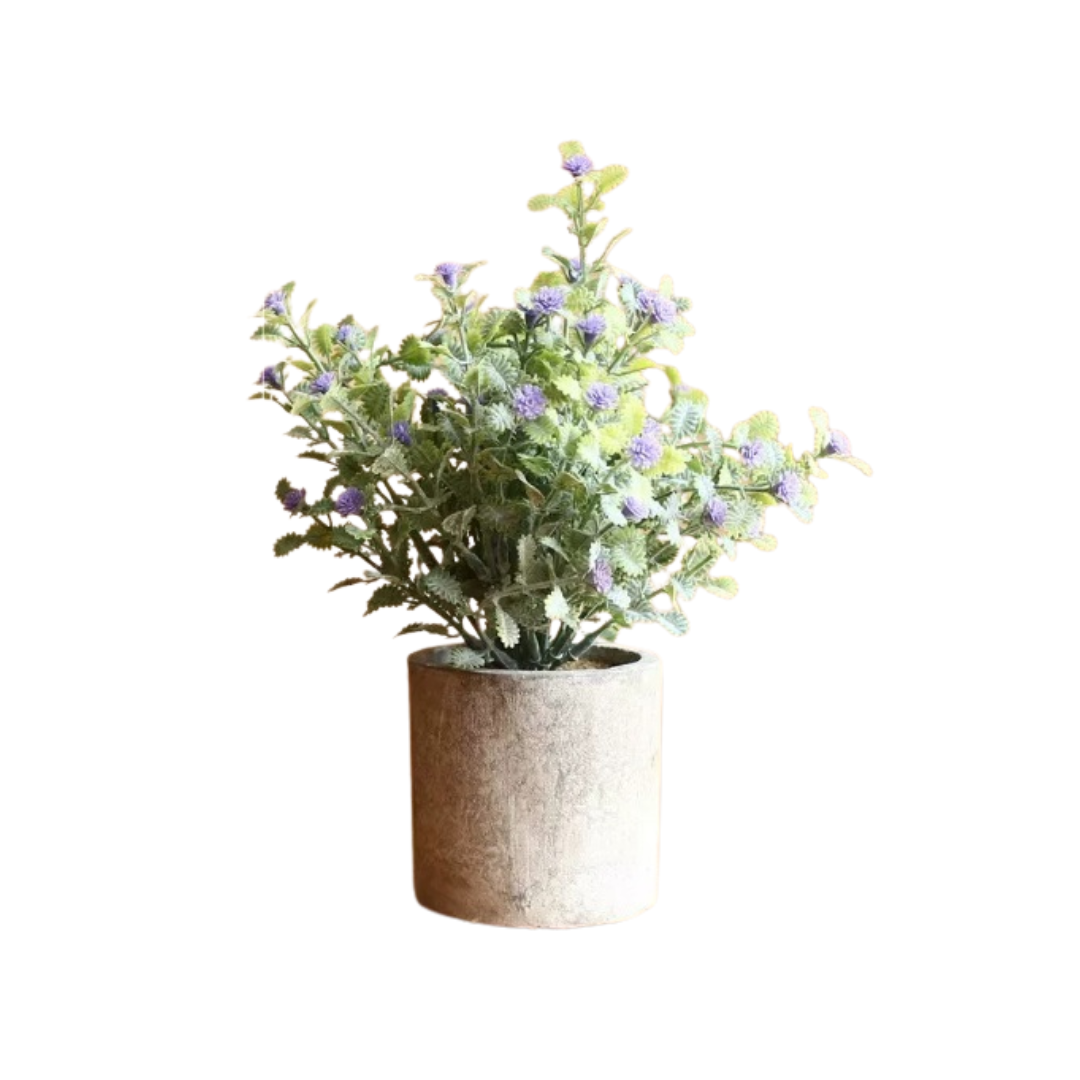 Mini artificial plant in a clay pot, 20cm tall, by Alton Flowers, featuring green foliage suitable for home or office decor.