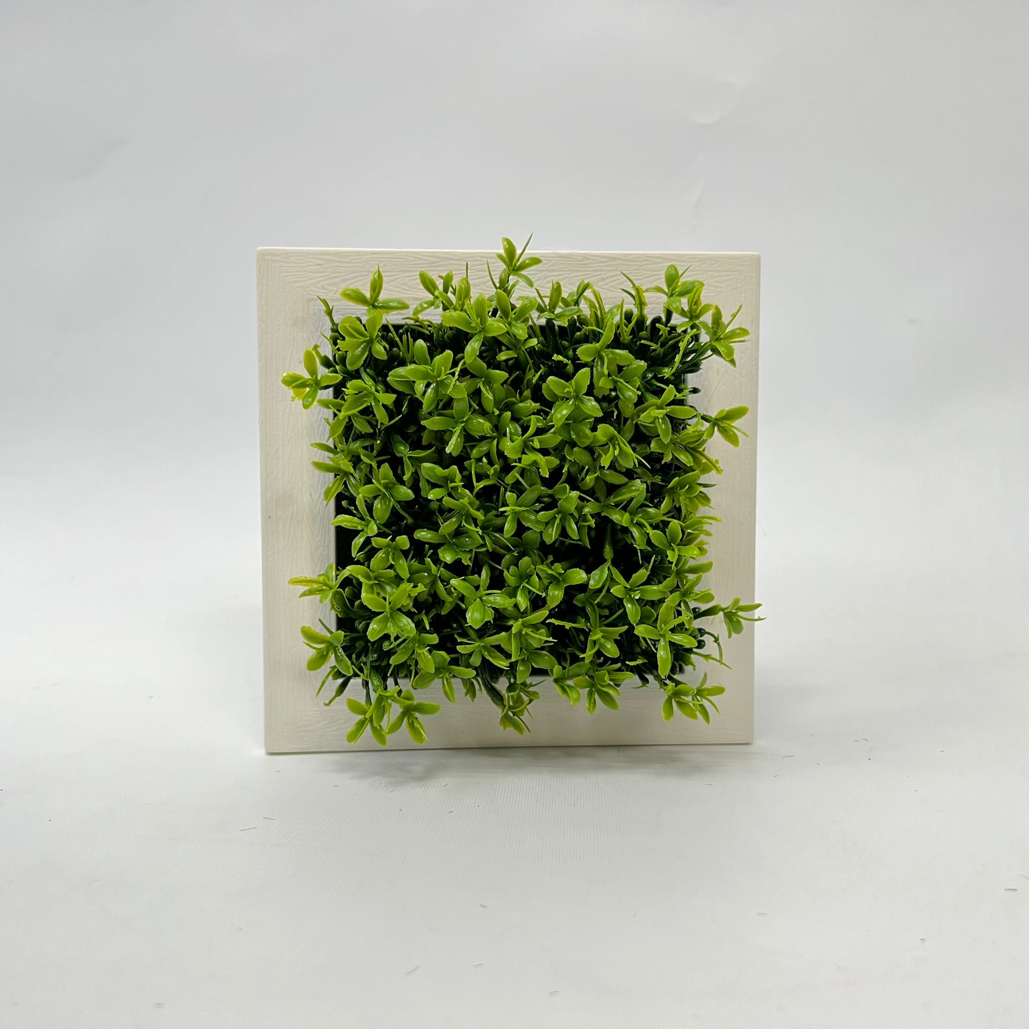 Plant Artificial Succulent in a picture frame, home decor, office Aplant756
