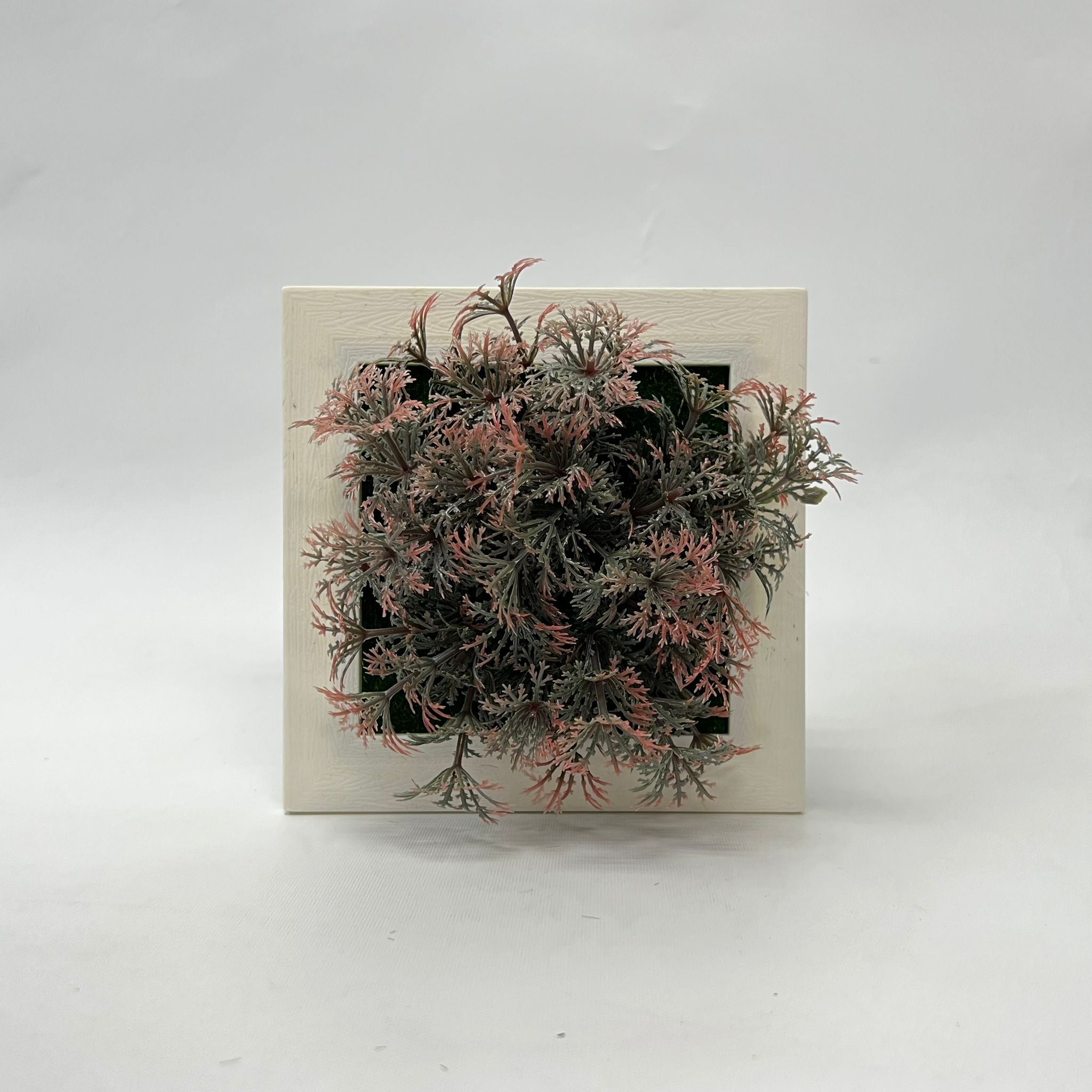 Plant Artificial Succulent in a picture frame, home decor, office Aplant756