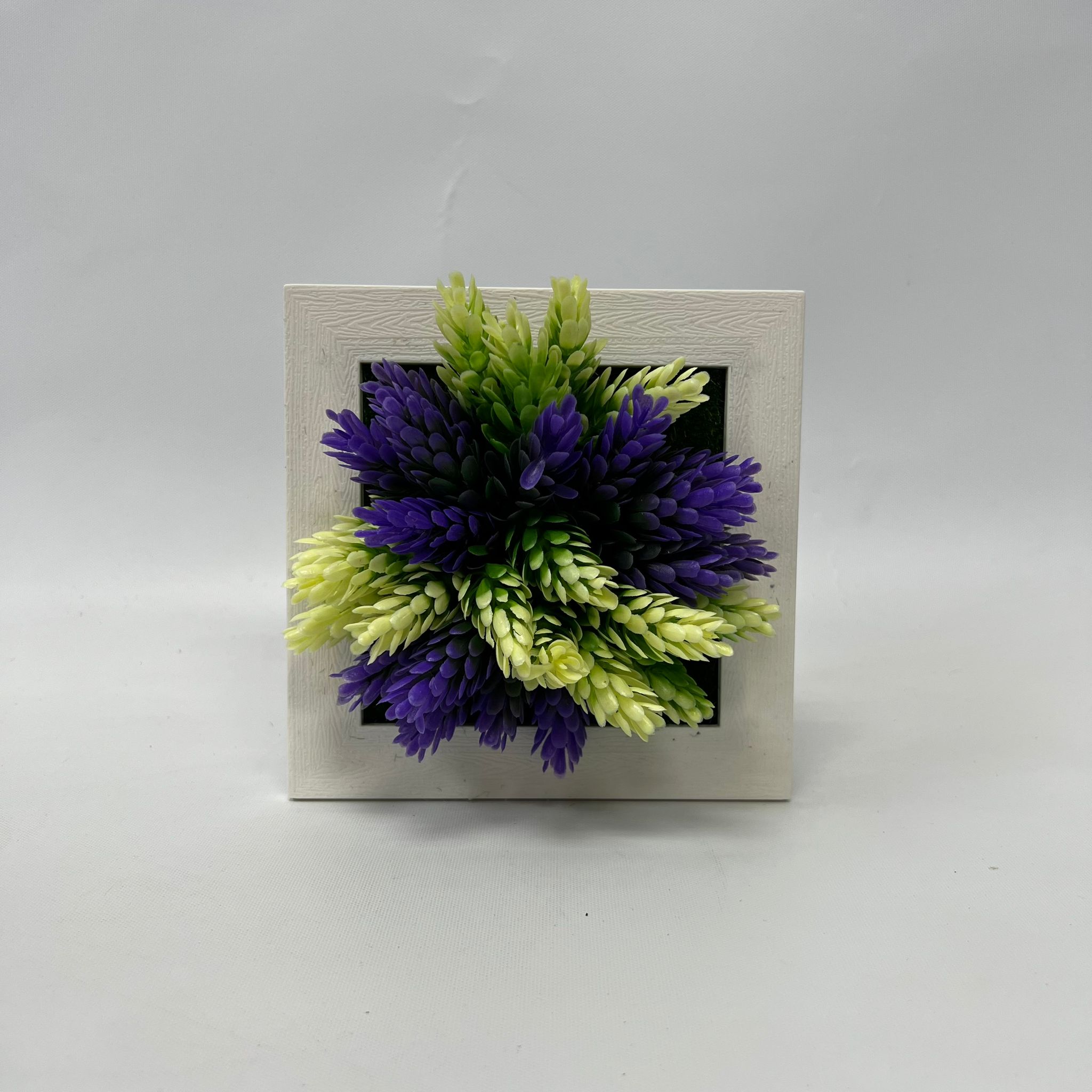 Plant Artificial Succulent in a picture frame, home decor, office Aplant756