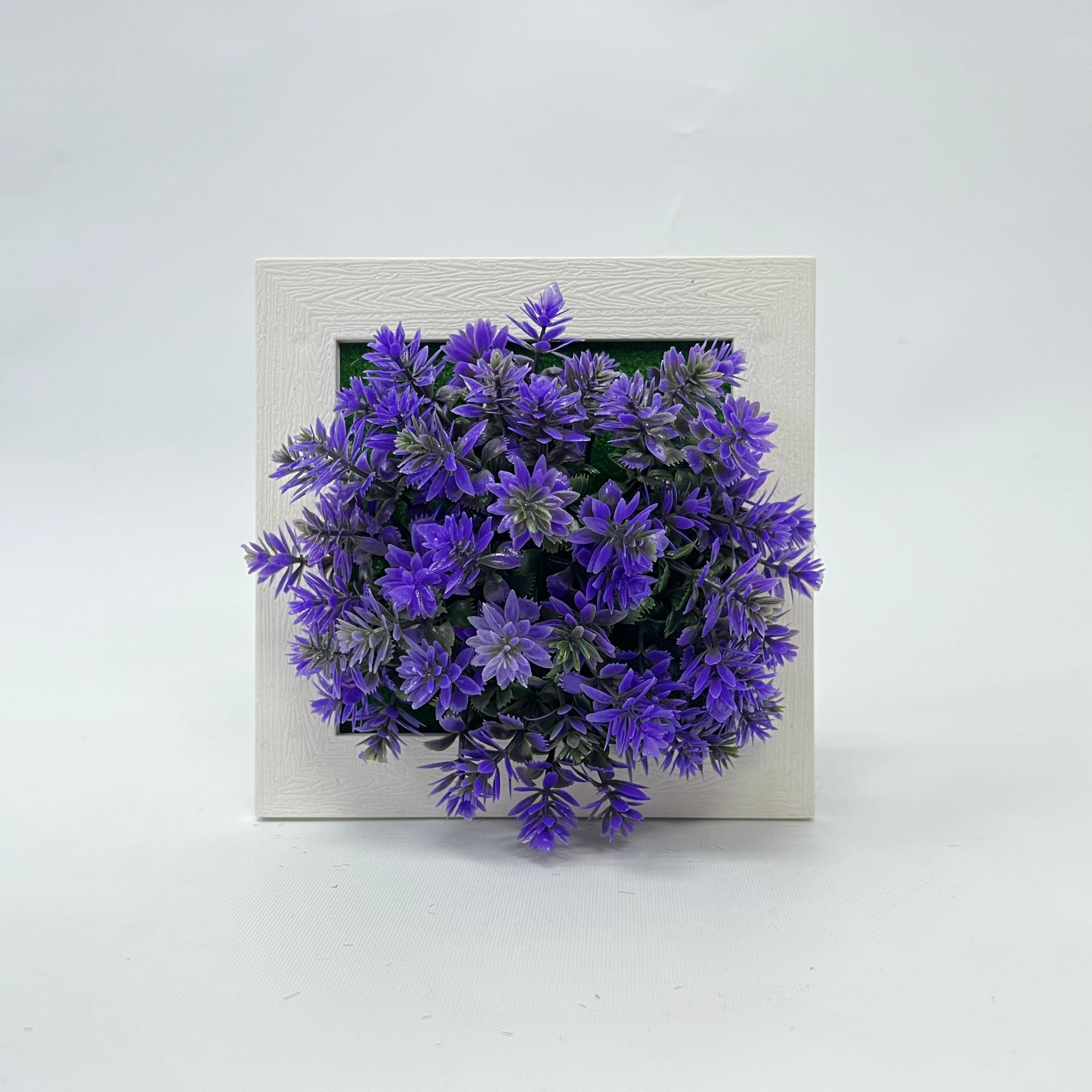 Plant Artificial Succulent in a picture frame, home decor, office Aplant756