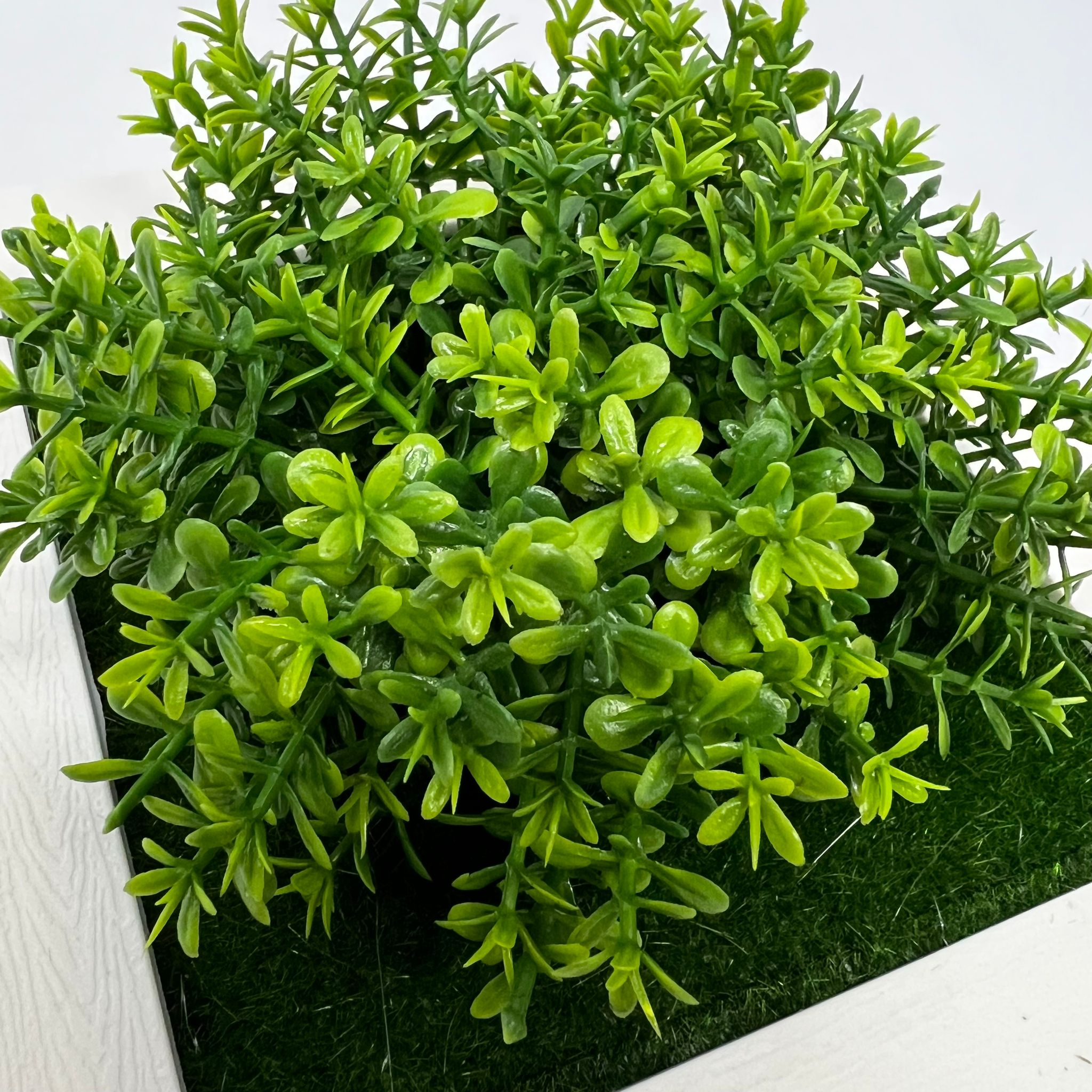 Plant Artificial Succulent in a picture frame, home decor, office Aplant756