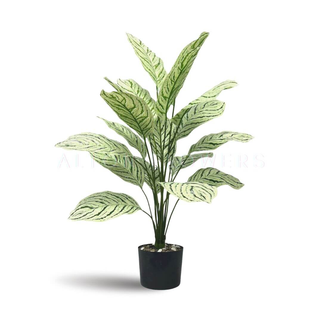 80cm Artificial Aglaonema "Silver Queen" with 18 Leaves - Perfect for Home Decor and Events Aplant759
