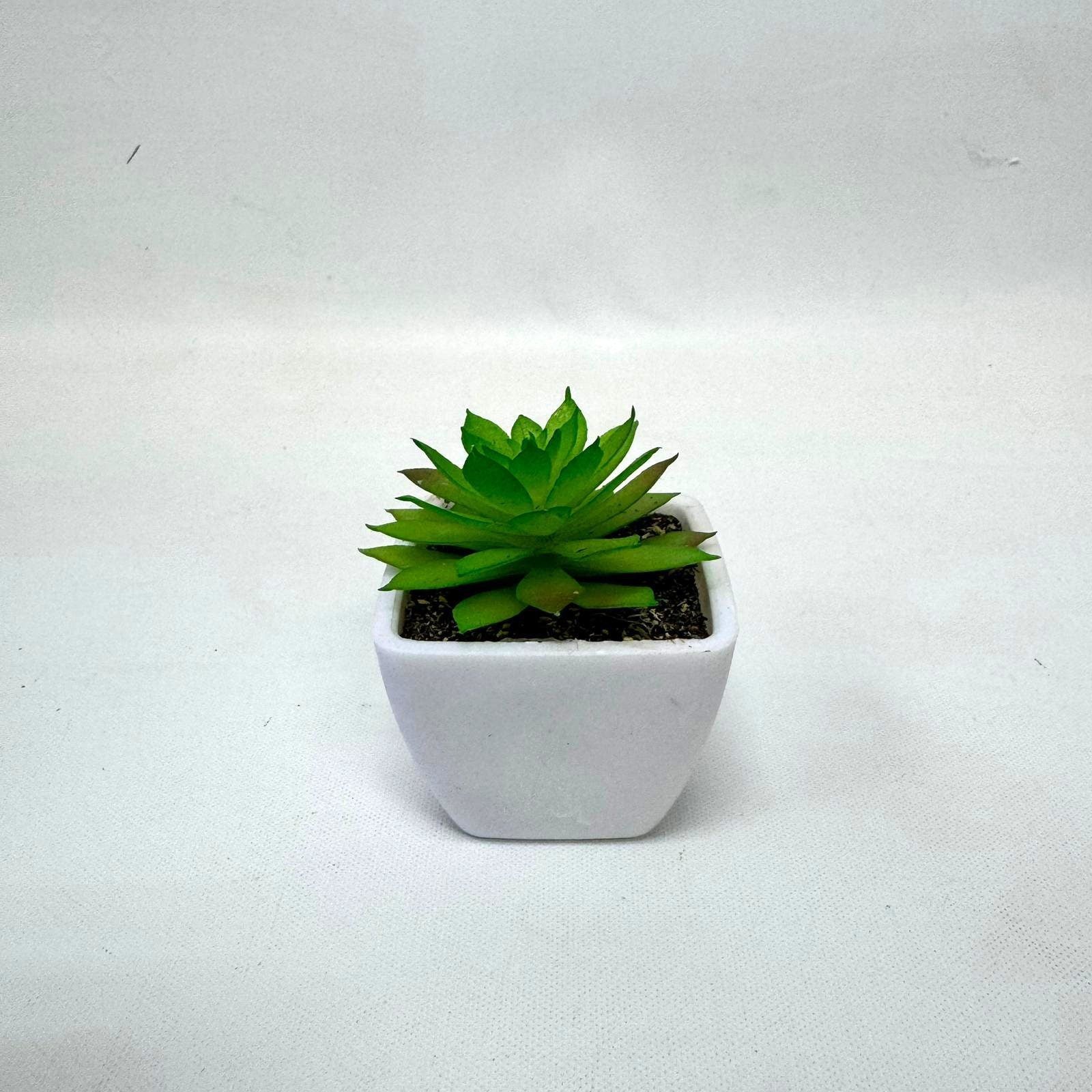 5-8cm Artificial Succulent Plant in Pot, 4 pcs random plant, home decor, office, garden. Aplant761