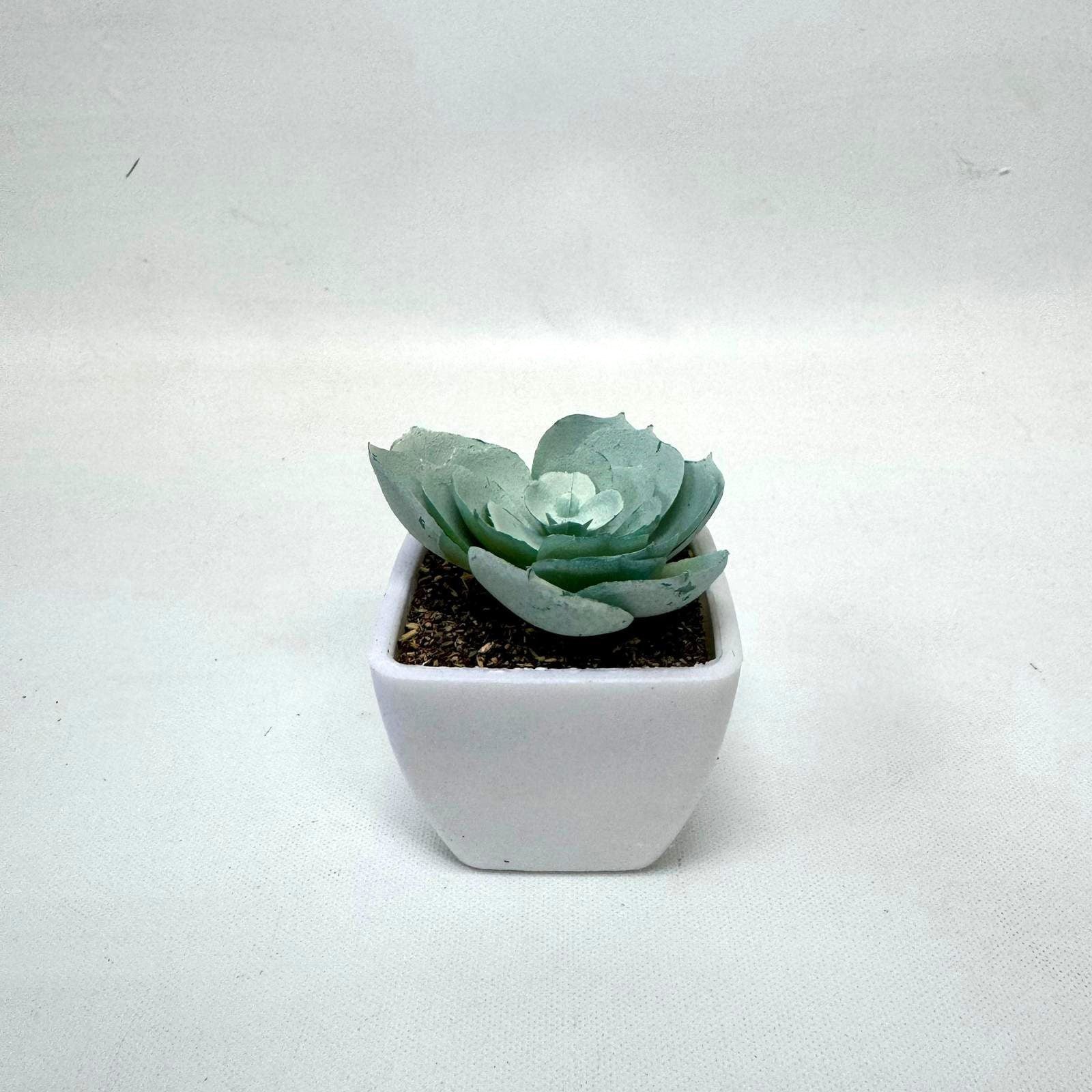 5-8cm Artificial Succulent Plant in Pot, 4 pcs random plant, home decor, office, garden. Aplant761