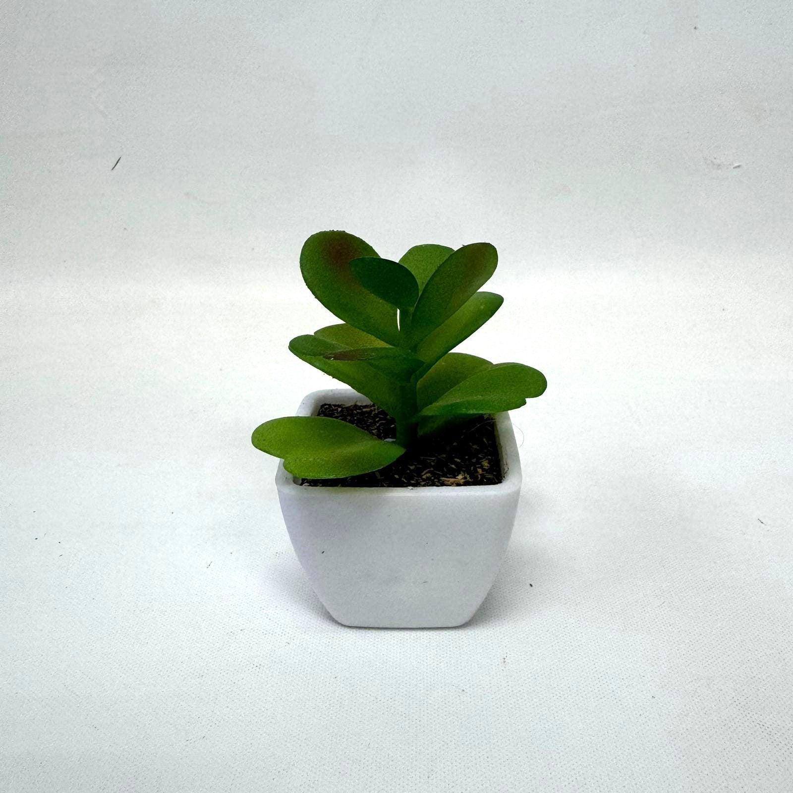 5-8cm Artificial Succulent Plant in Pot, 4 pcs random plant, home decor, office, garden. Aplant761