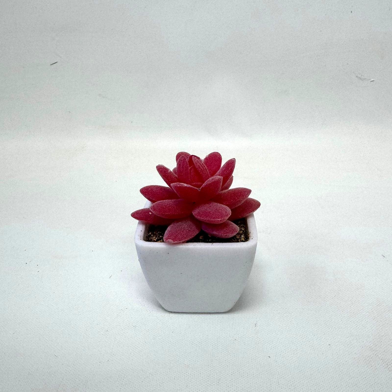 5-8cm Artificial Succulent Plant in Pot, 4 pcs random plant, home decor, office, garden. Aplant761