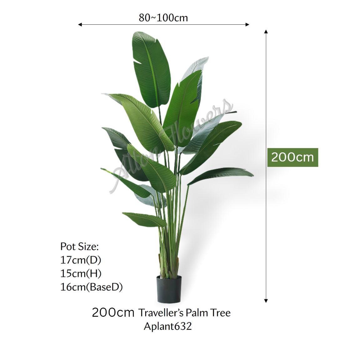 Aplant811 4 pic of Aplant632 mea 2