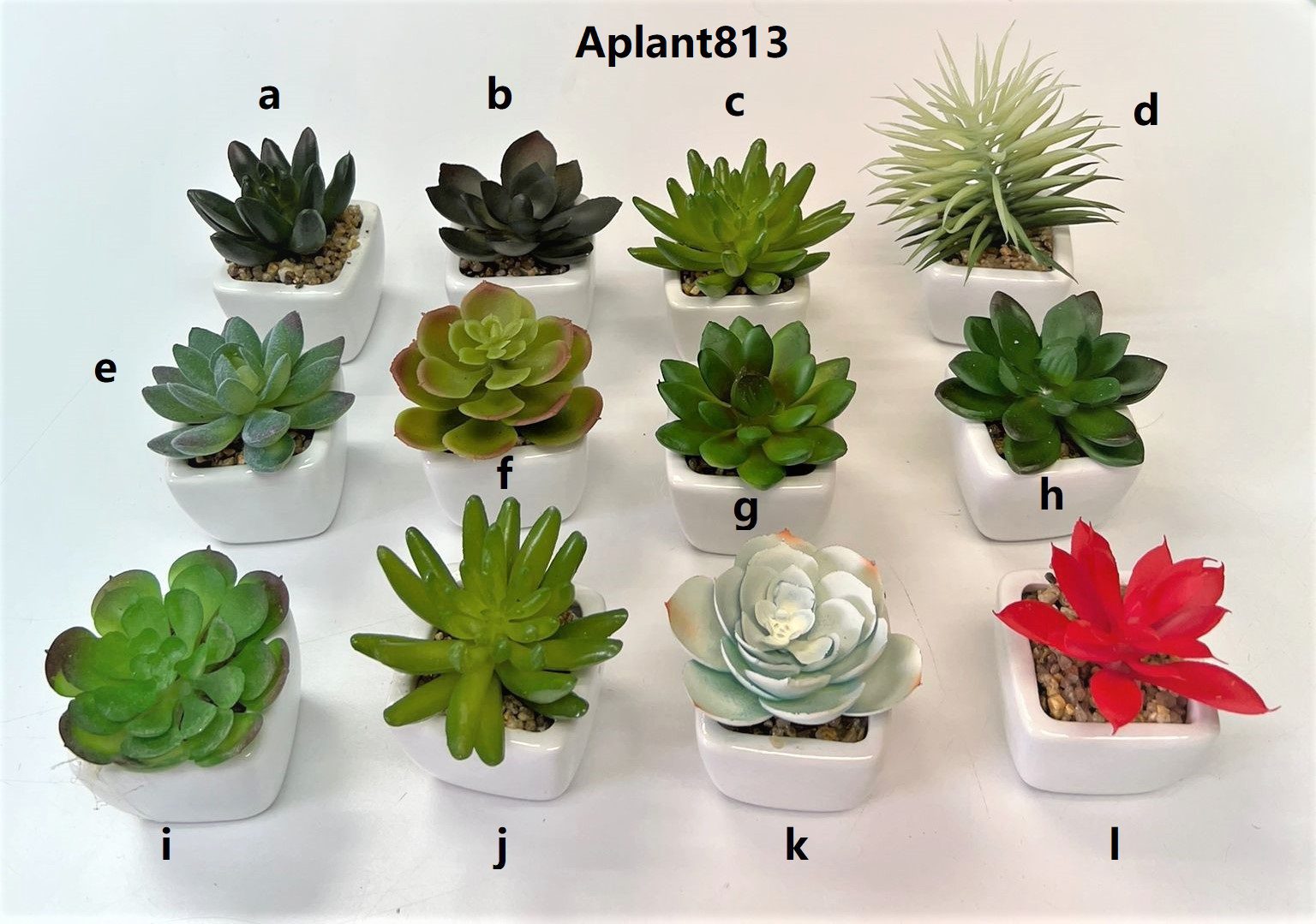 Aplant813 5 1