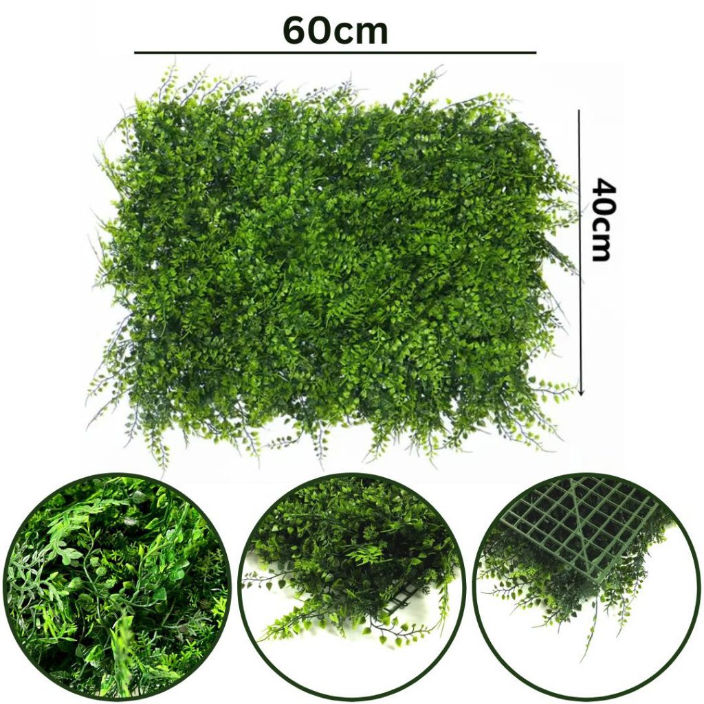 Aplant830 Old Picture Do Not Use