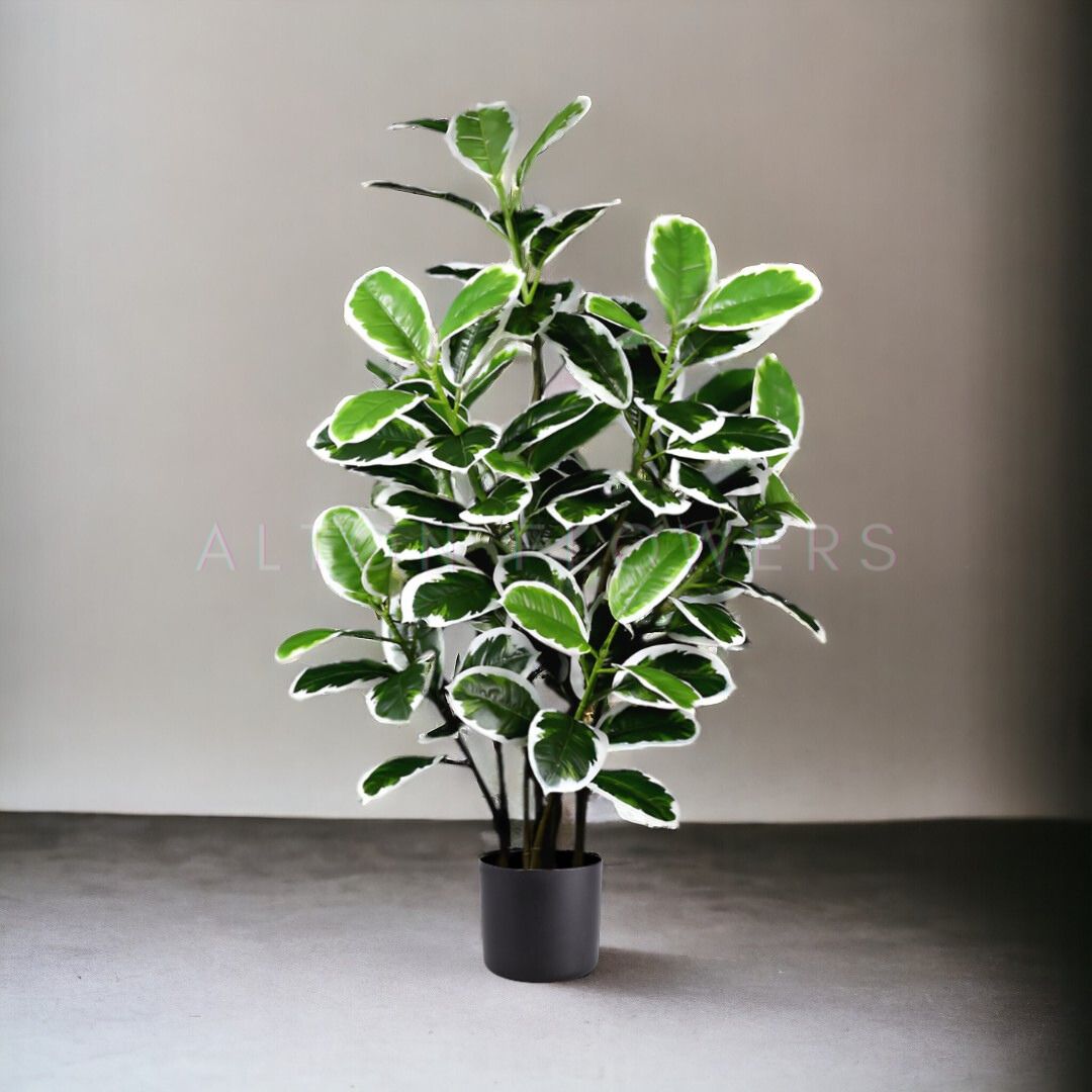140cm Artificial Plant Variegated Fiddle Fig Plant, faux plant, fake plant, home decor, events, garden Aplant843